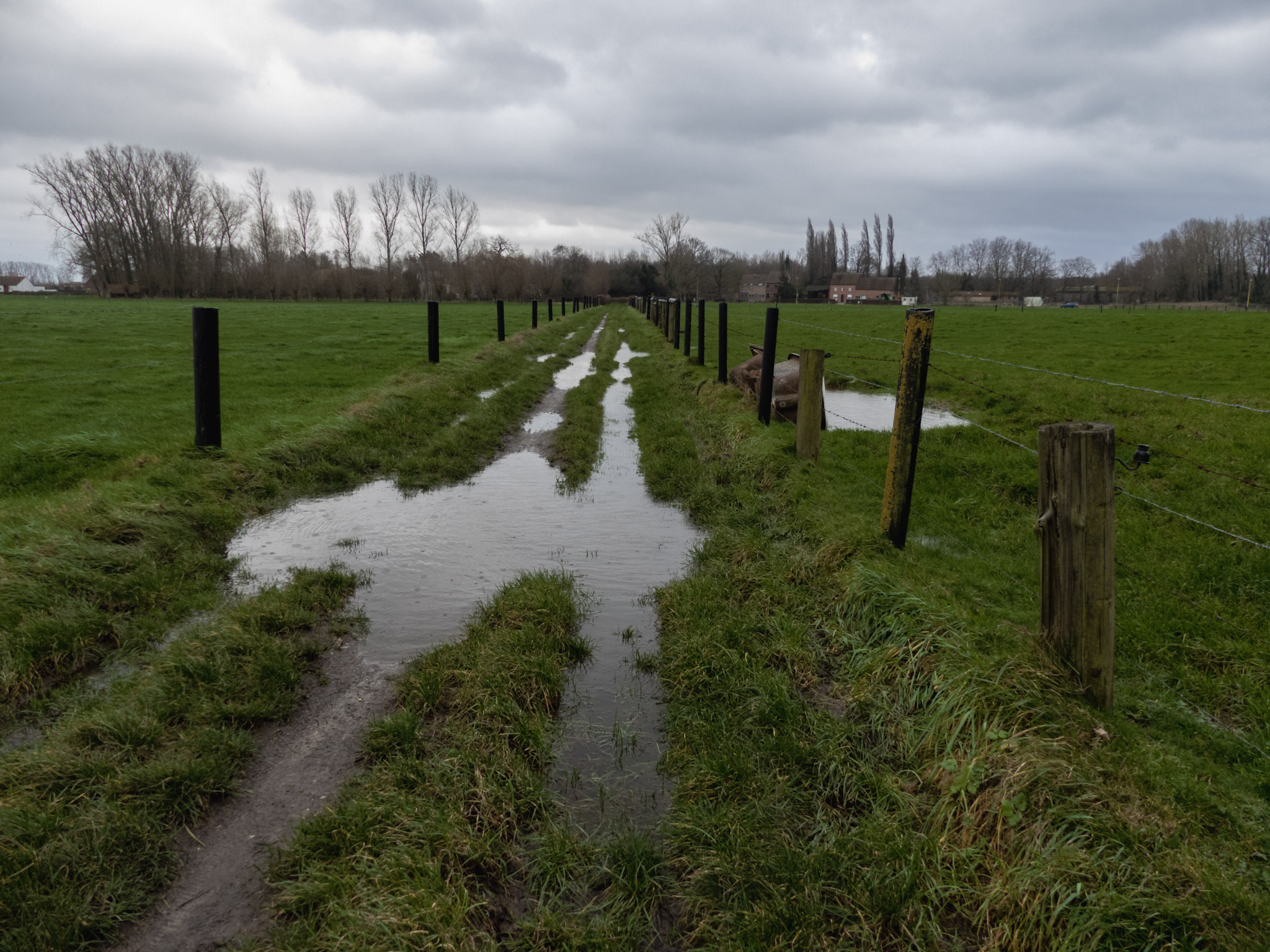 Ondergelopen wandelweg tussen velden
