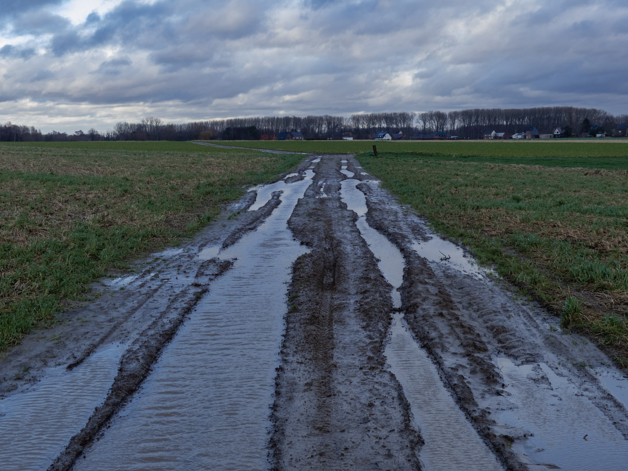 Ondergelopen en modderige weg in een weiland