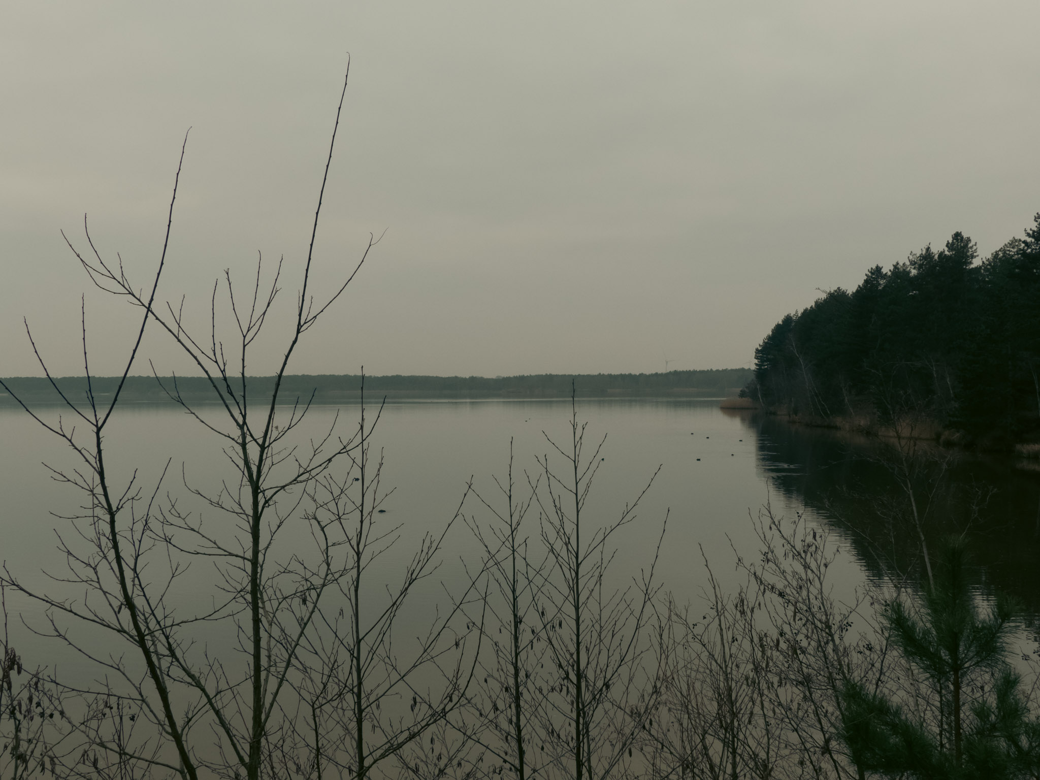 Uitzicht op de plas van Rauw