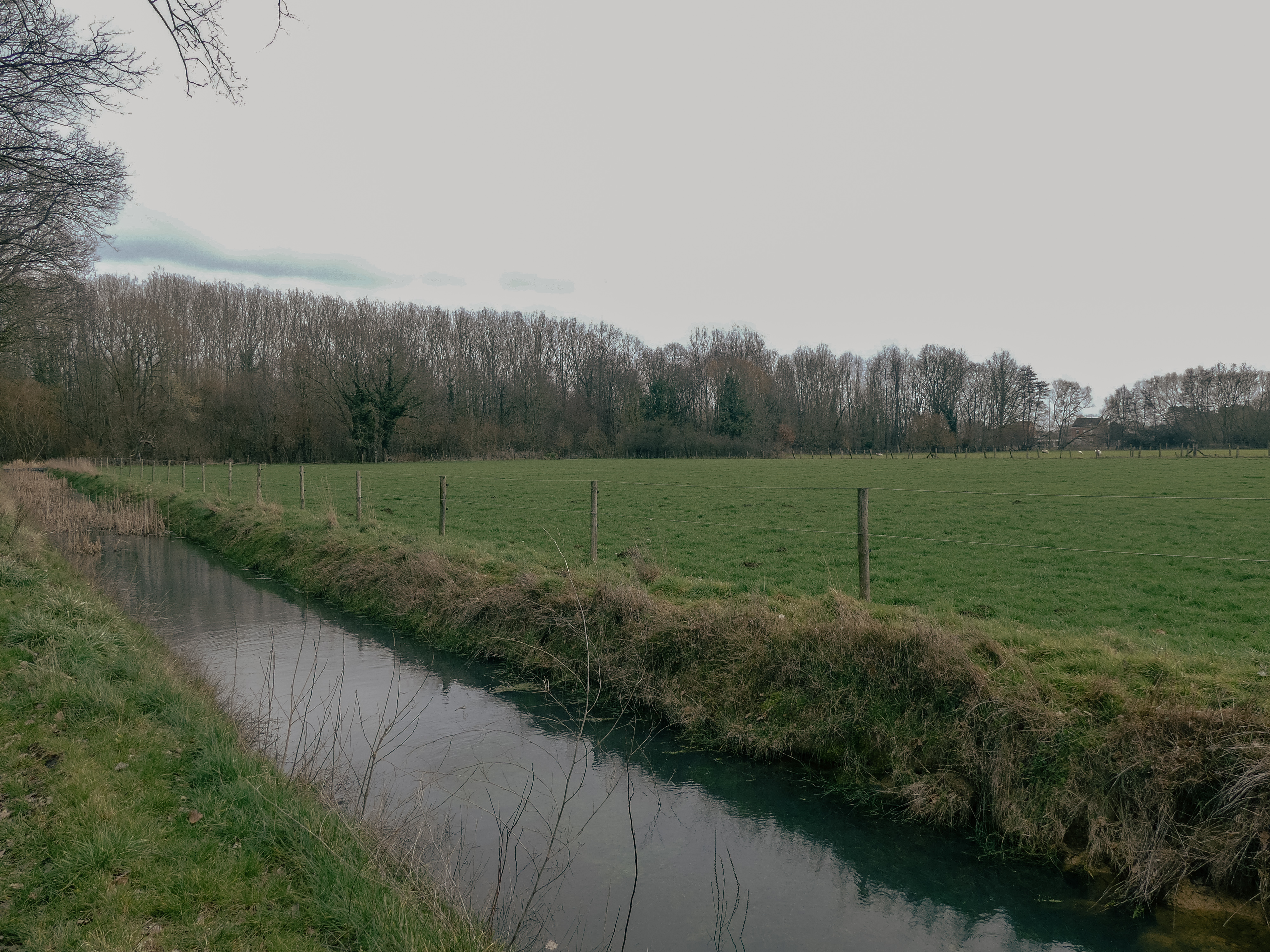 Beek links van een weiland