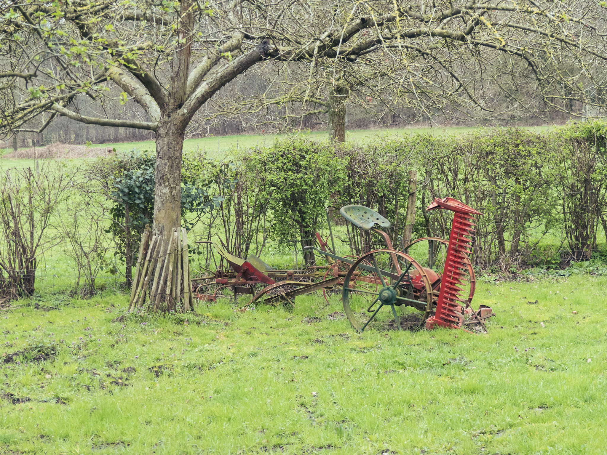 Rood tractorachtig ding onder een boom
