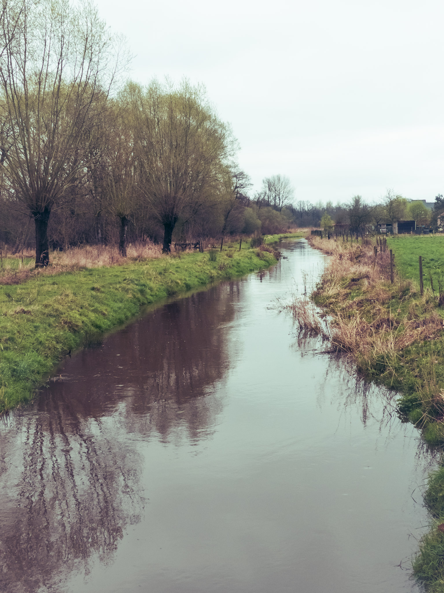 Beek door een weidelandschap met knotwilgen langs de oever