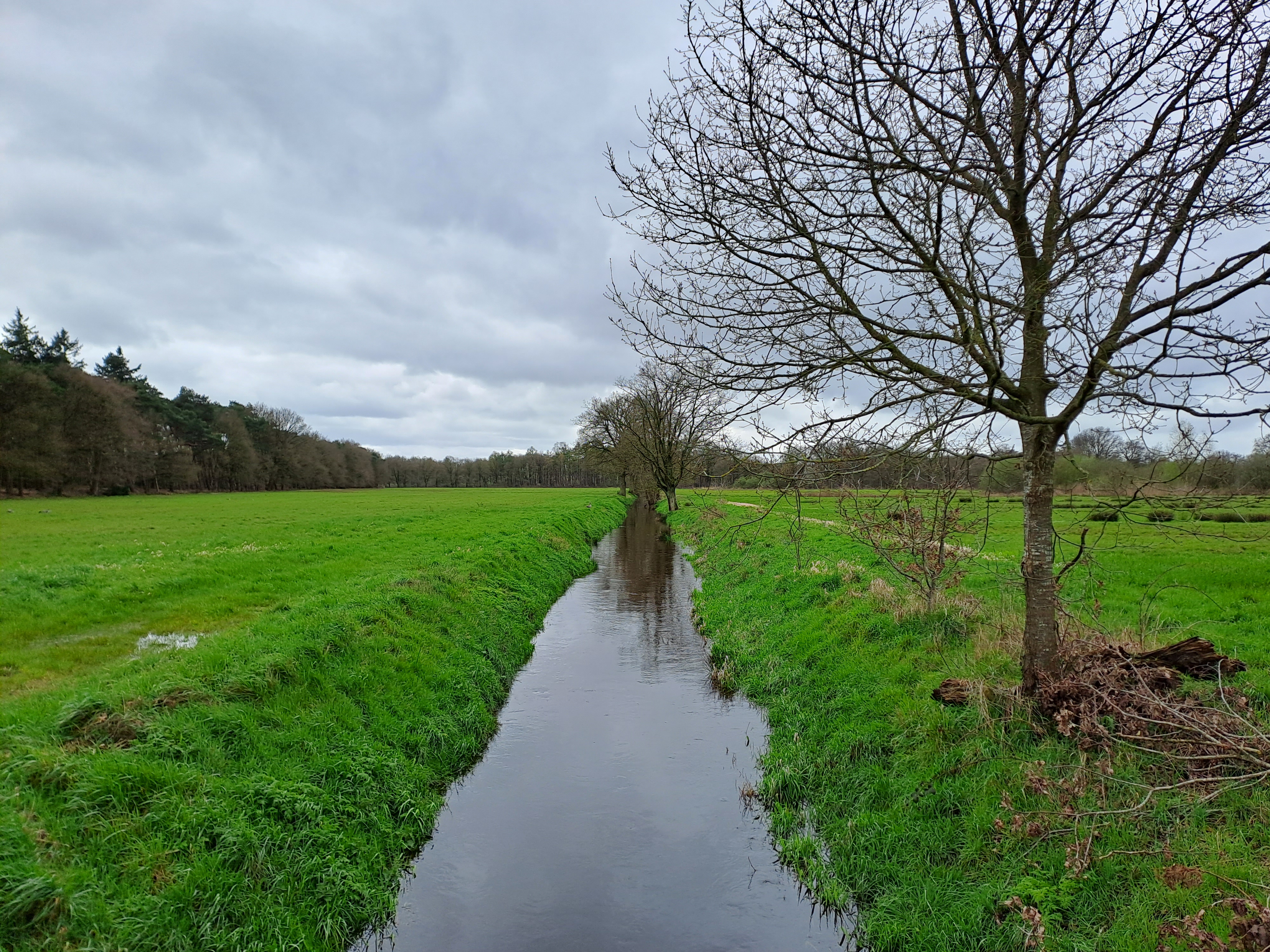 Beek door weilanden