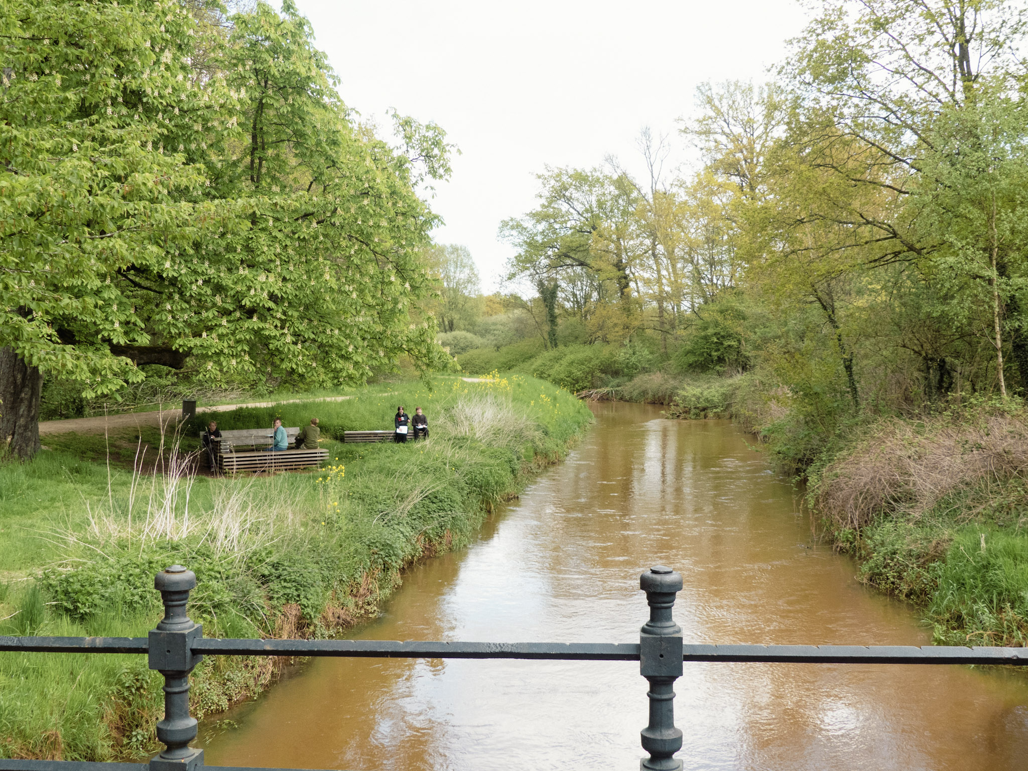 Een beek met bankjes in het groen erlangs
