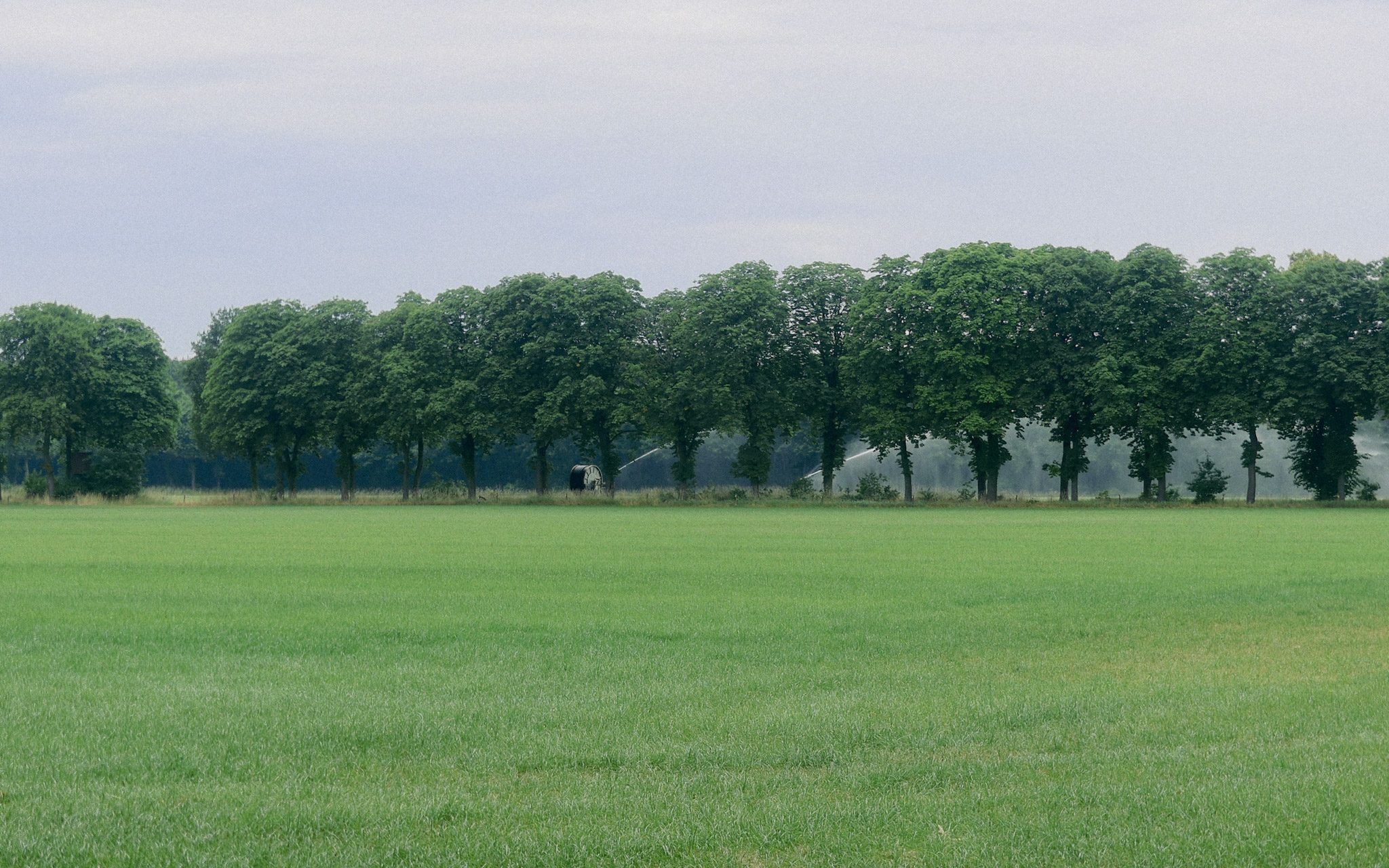 Bomen achter een groen weiland, achter de bomen zijn waterkanonnen ebzig