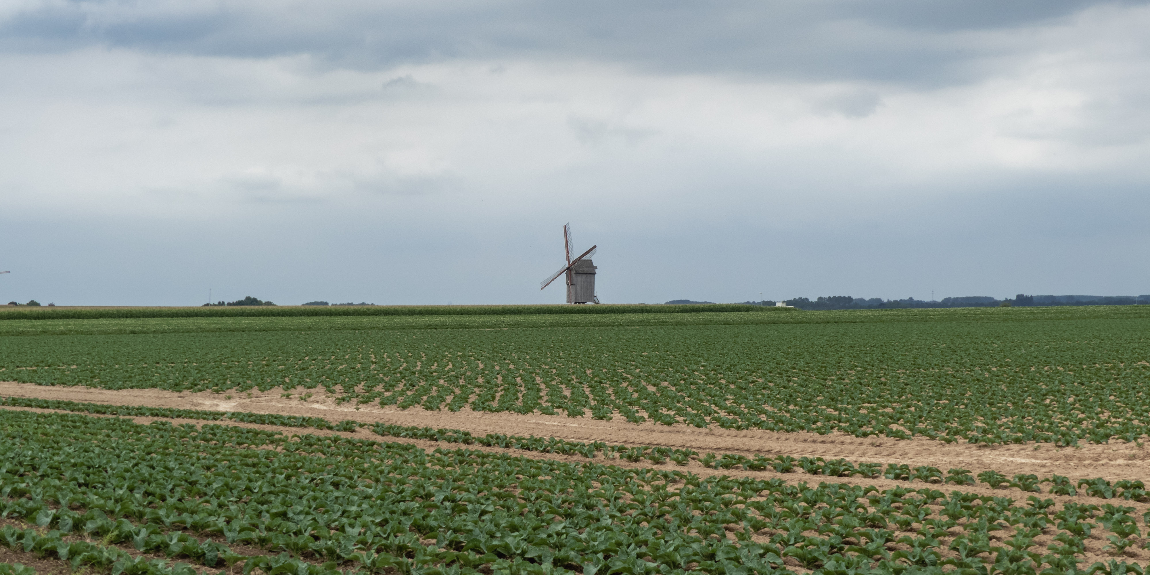 Een eenzame molen aan de horizon