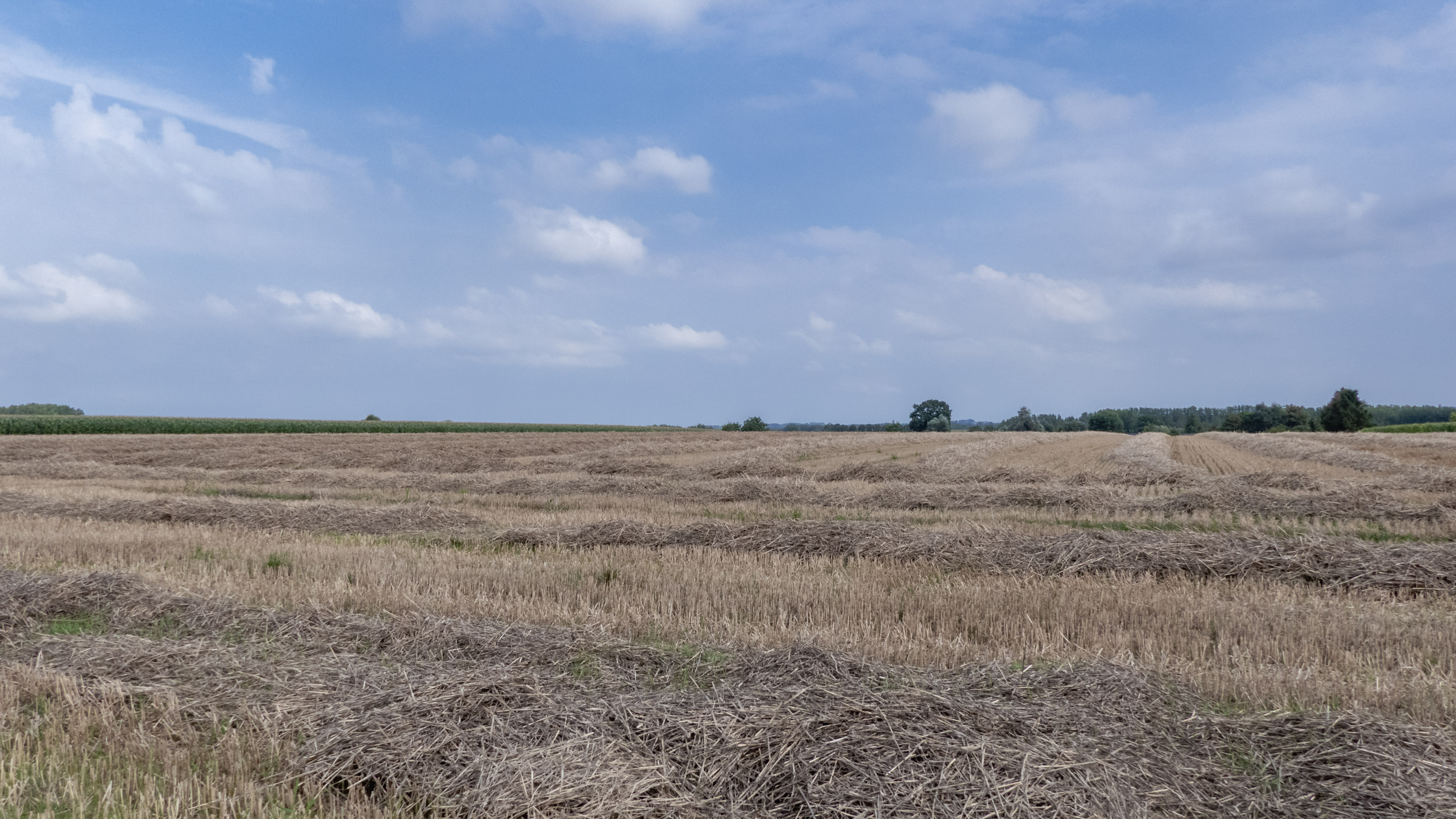Een veld