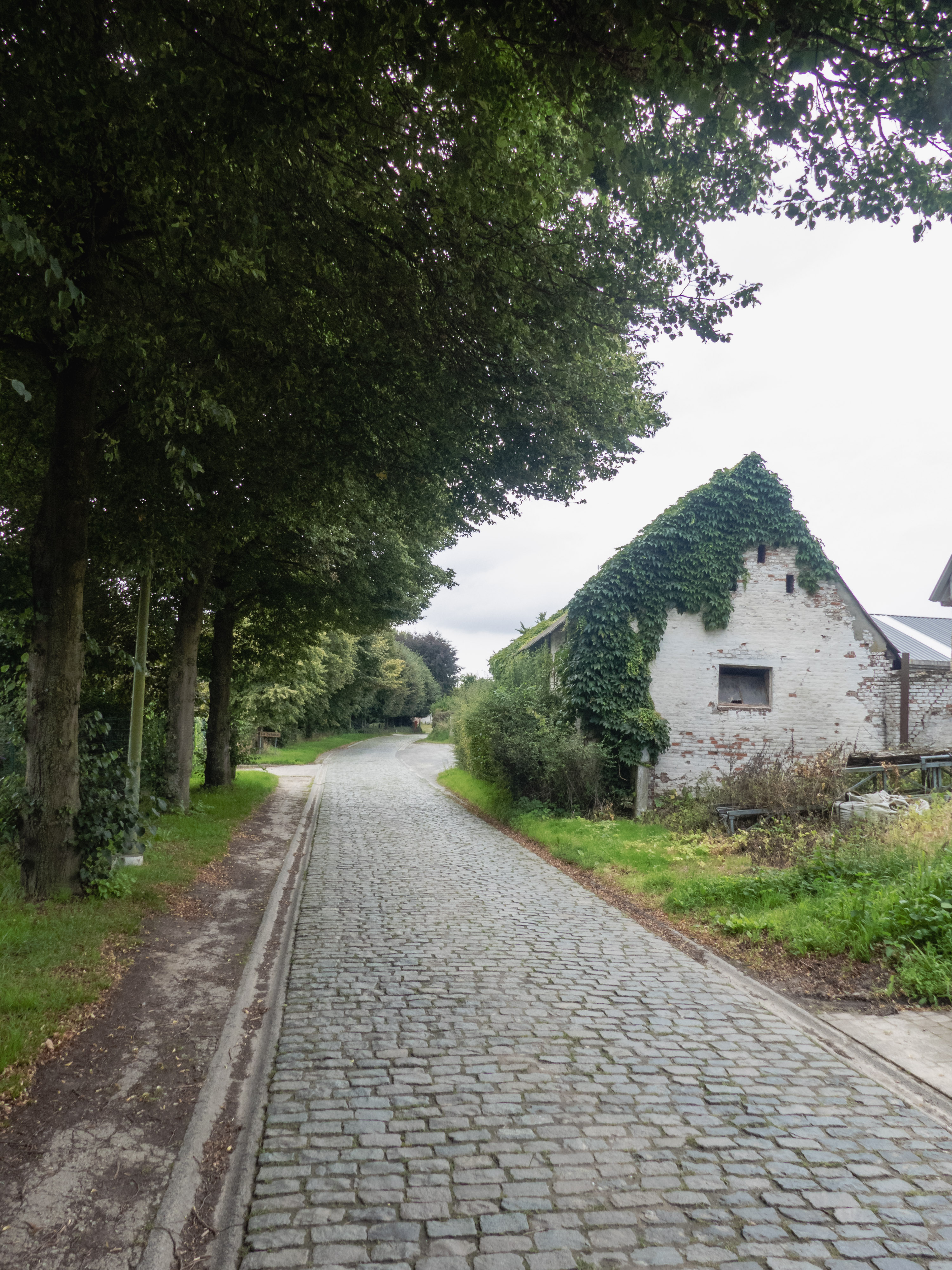 Het begin (voor een echte wielertoerist einde) van de Paddestraat