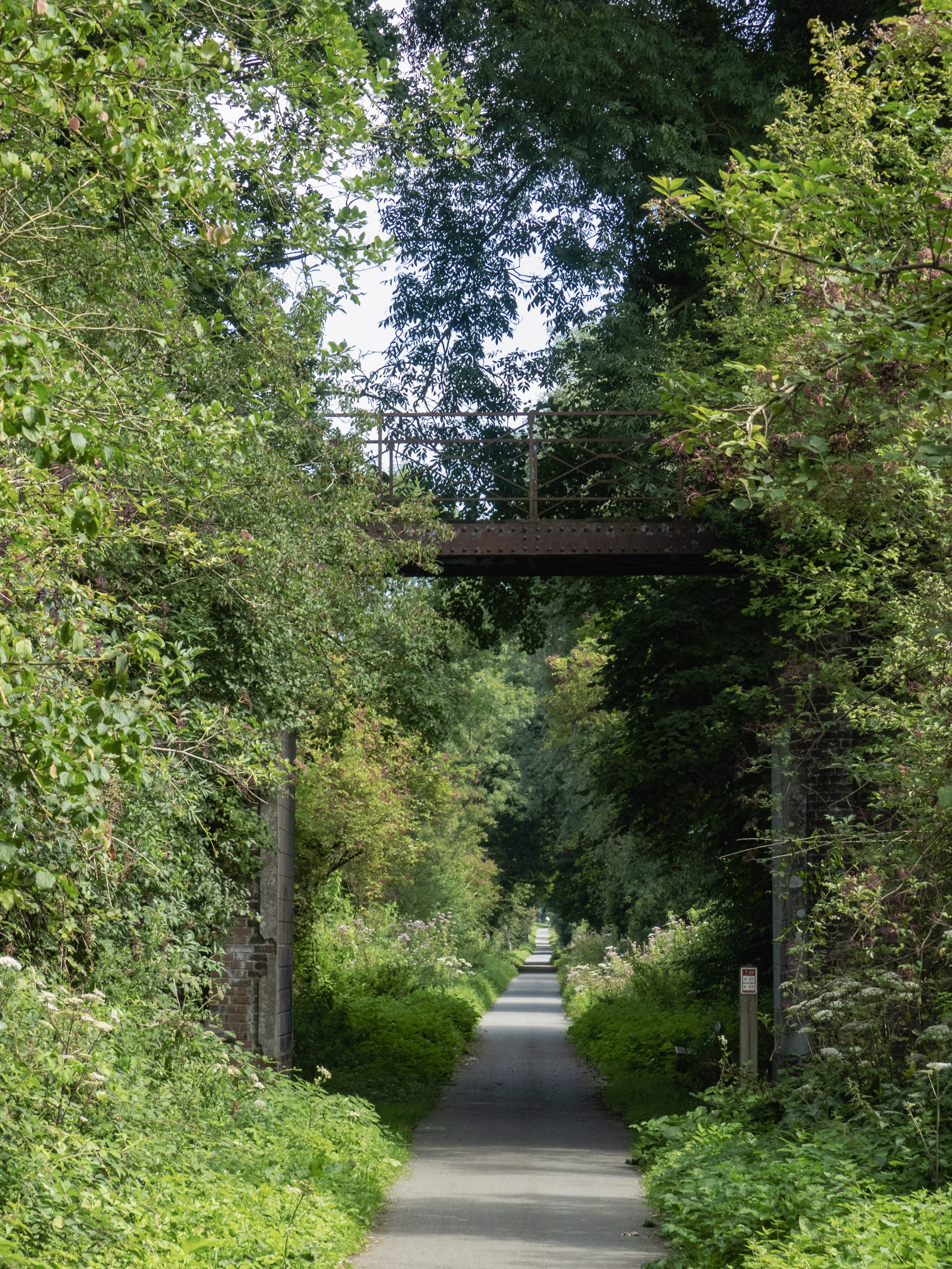 Fietspad die een oude spoorwegberm was - groen langs de twee kanten en een verroeste brug erover