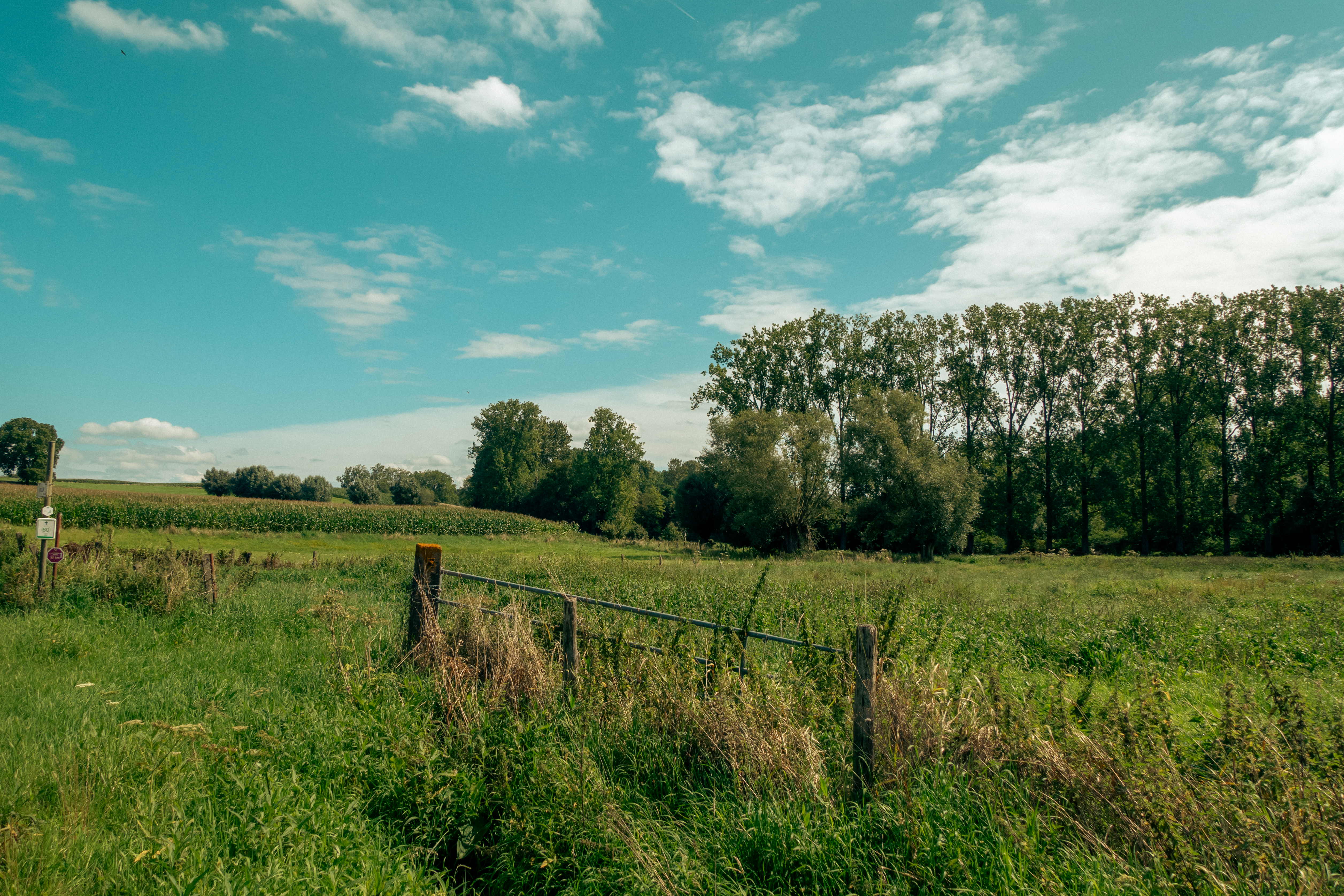 weilanden