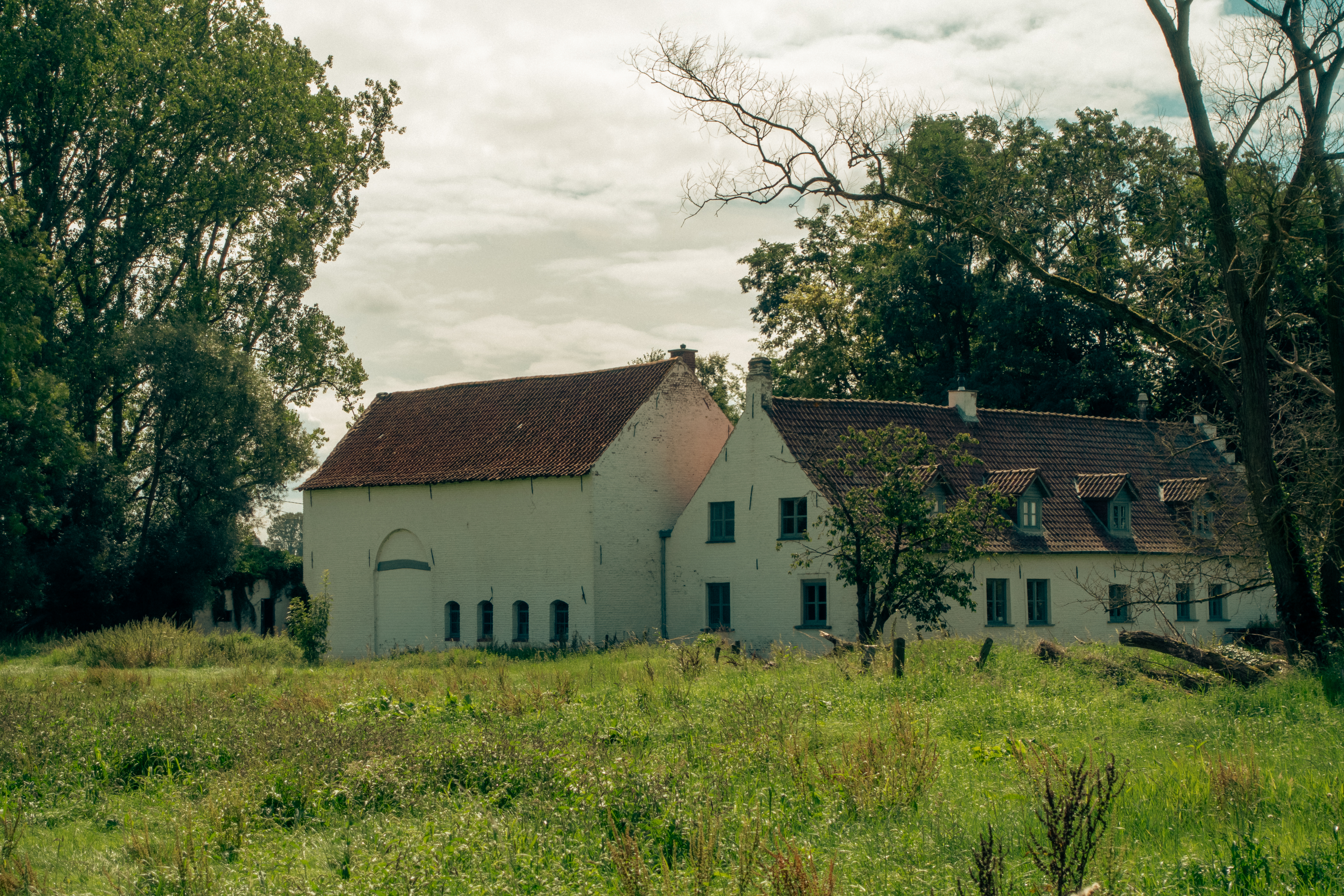 Wit oud huis in het groen