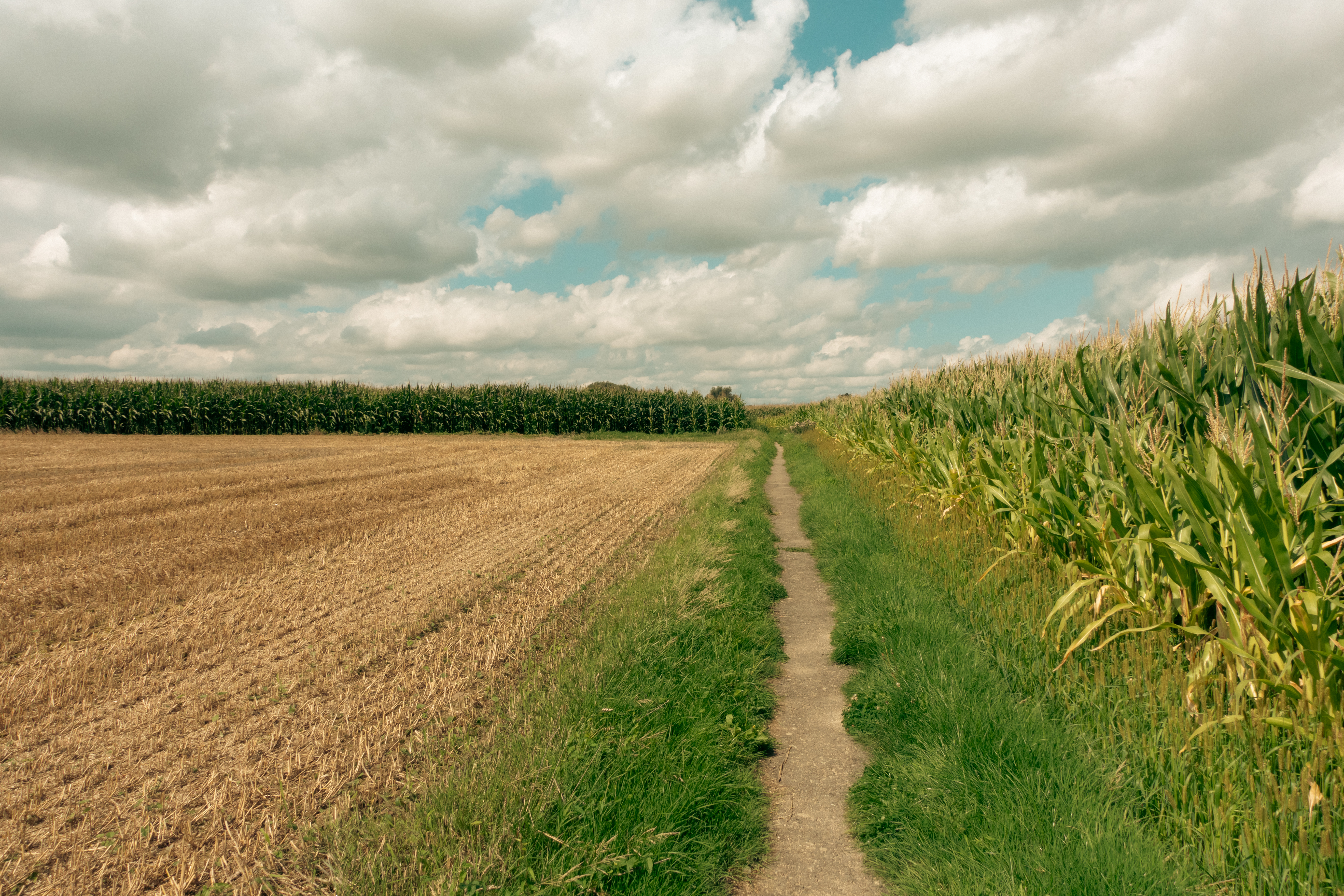 Veldweg met rechts mais en links stro/hooi