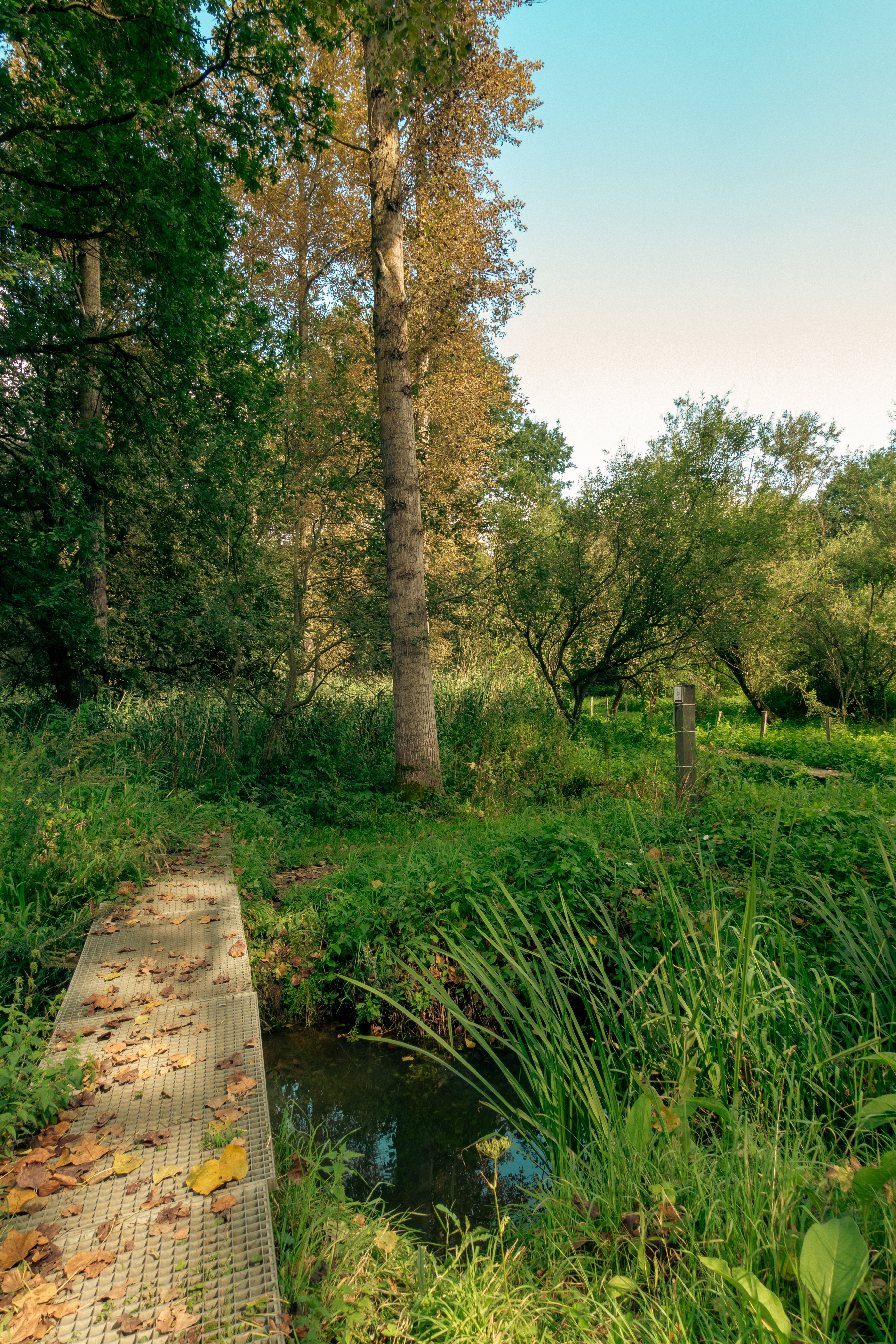amel briggetje over een beek