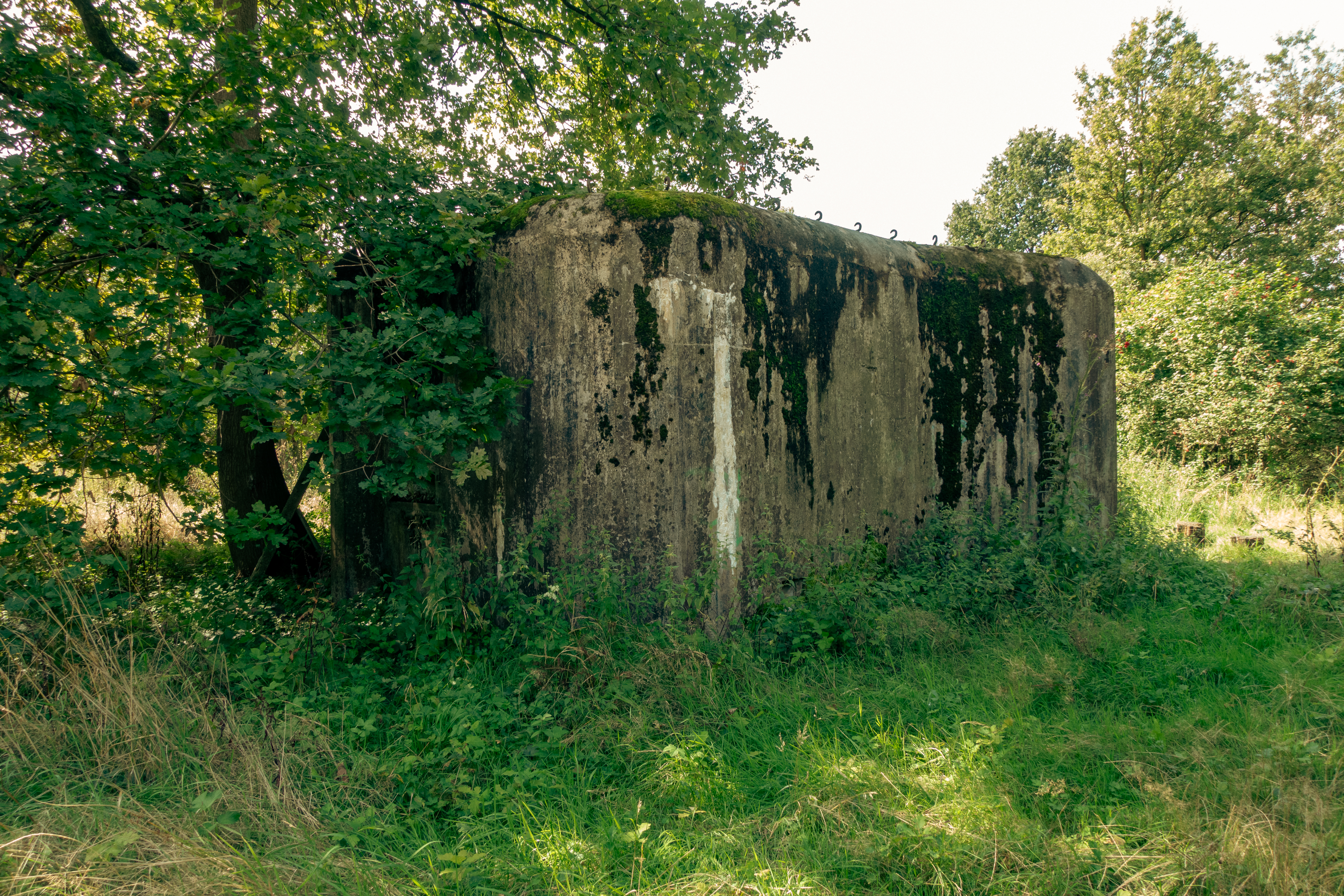 Een bunker in het groen