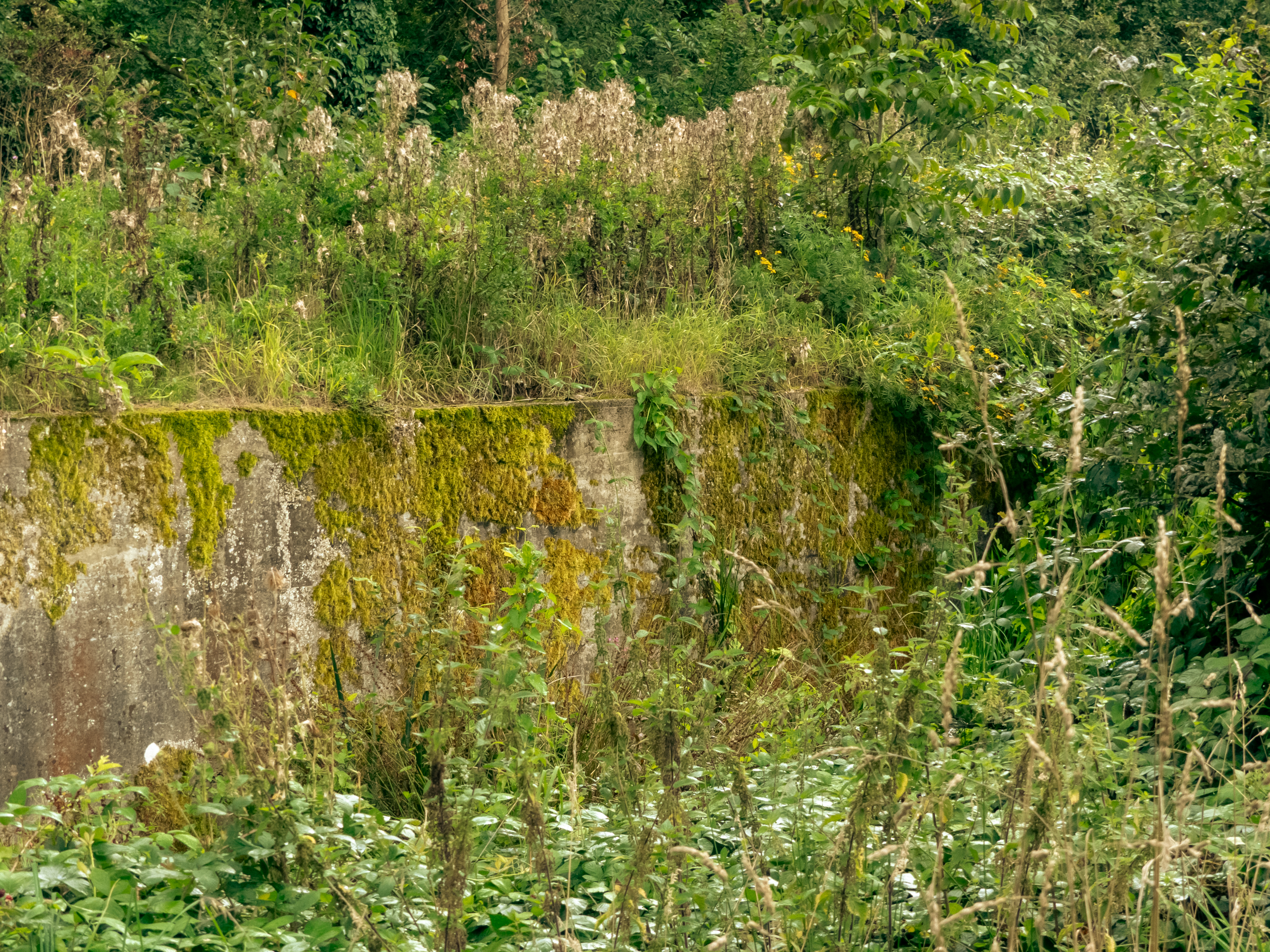 Een muur die de tanks moest tegenhouden