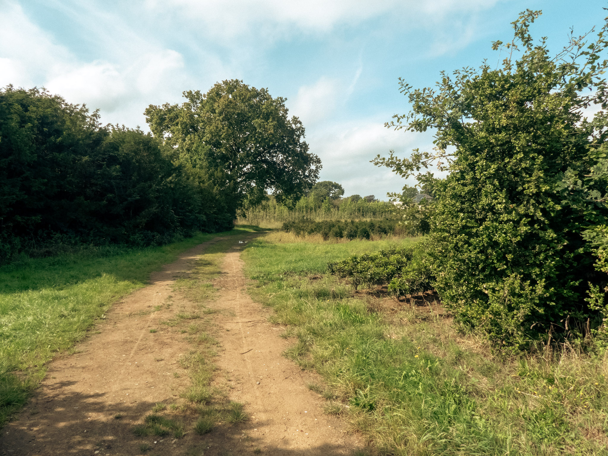 Zandweg door de velden