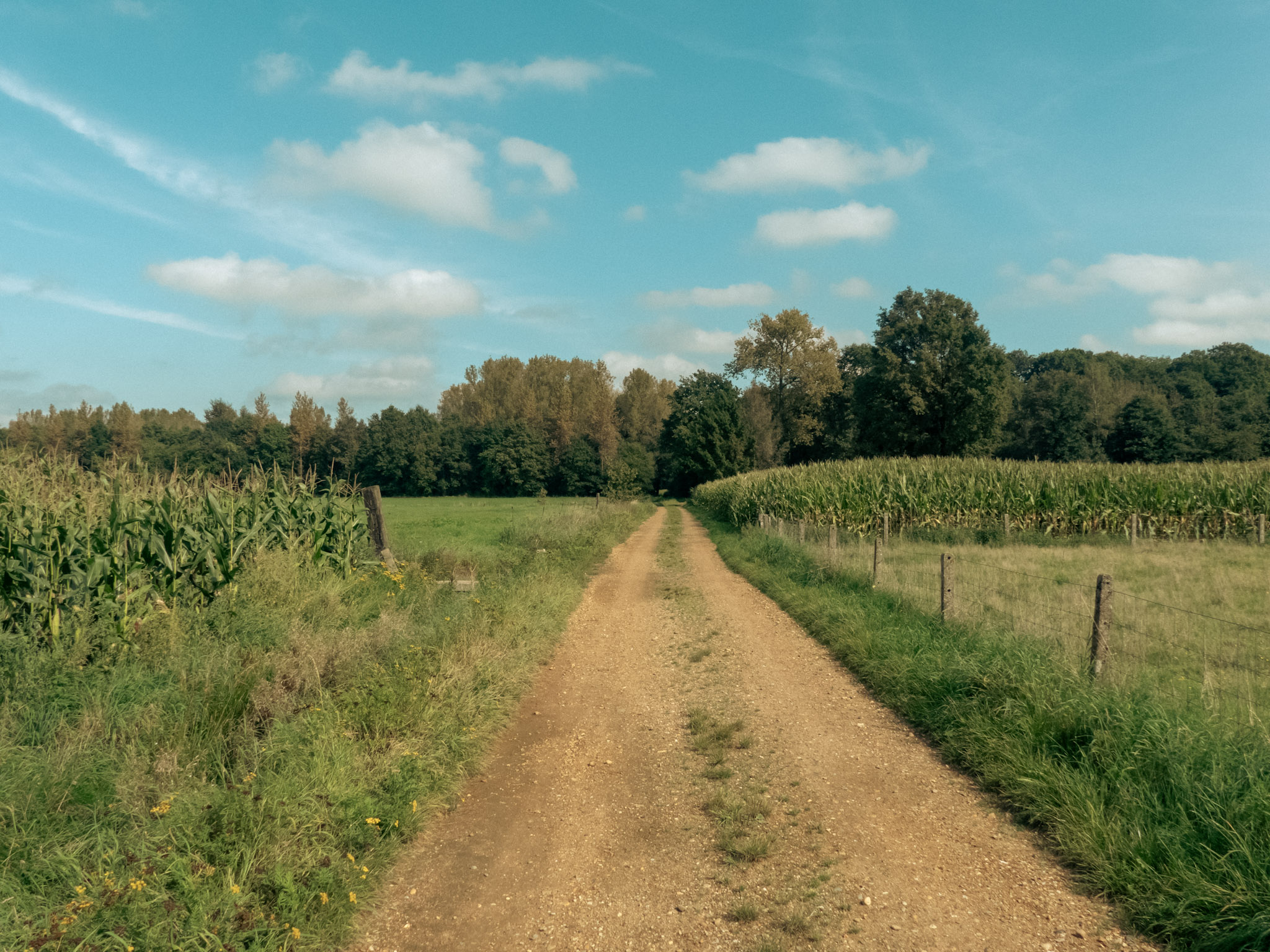 Zandweg door de velden