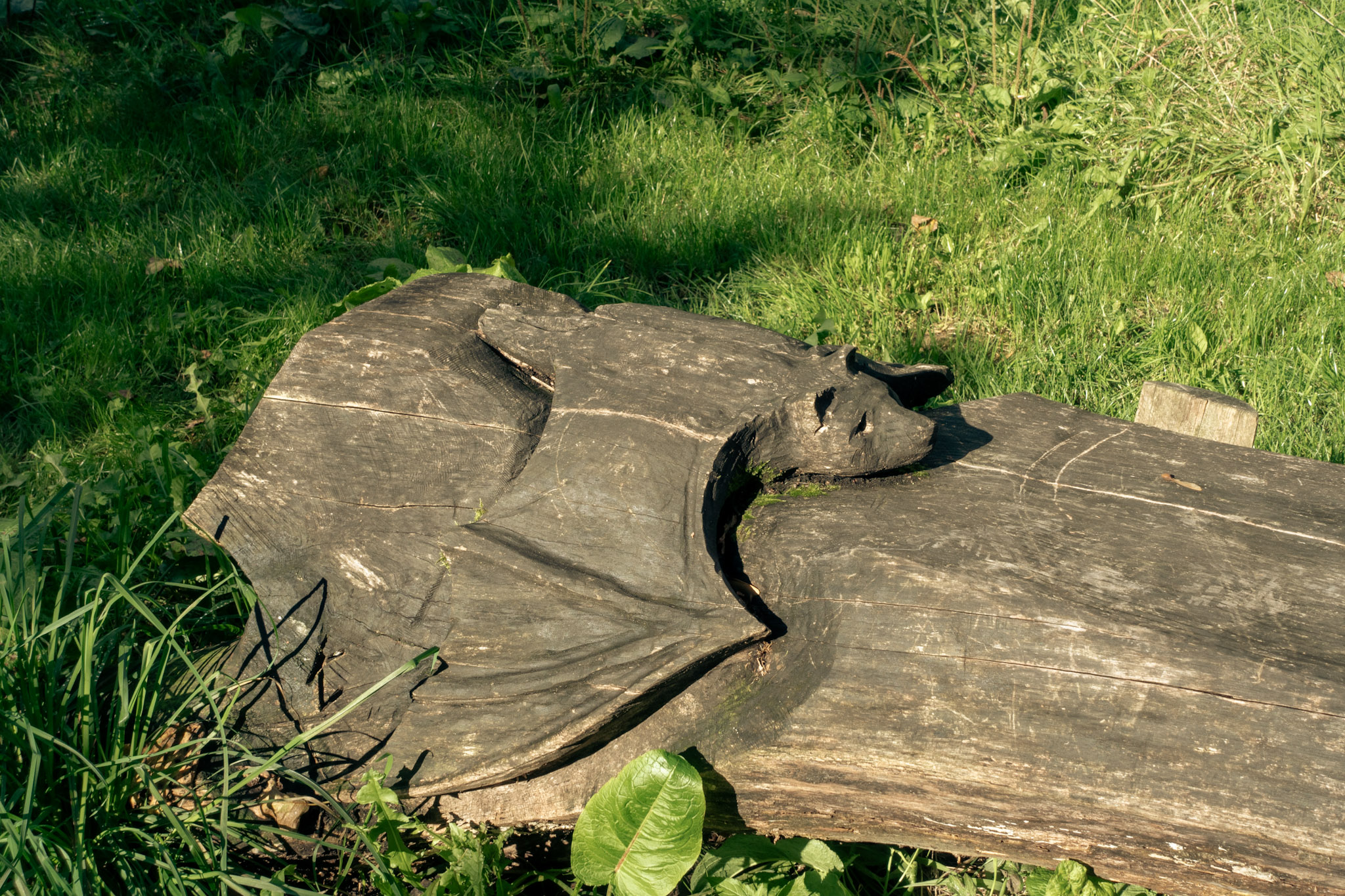 Vleermuis uit hout, deel van een zitbank
