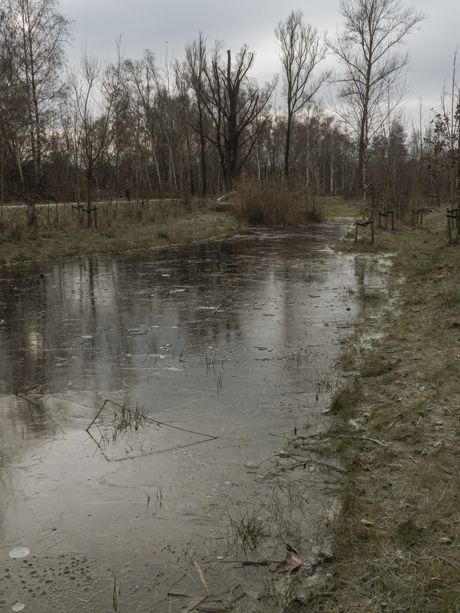 Bevroren water