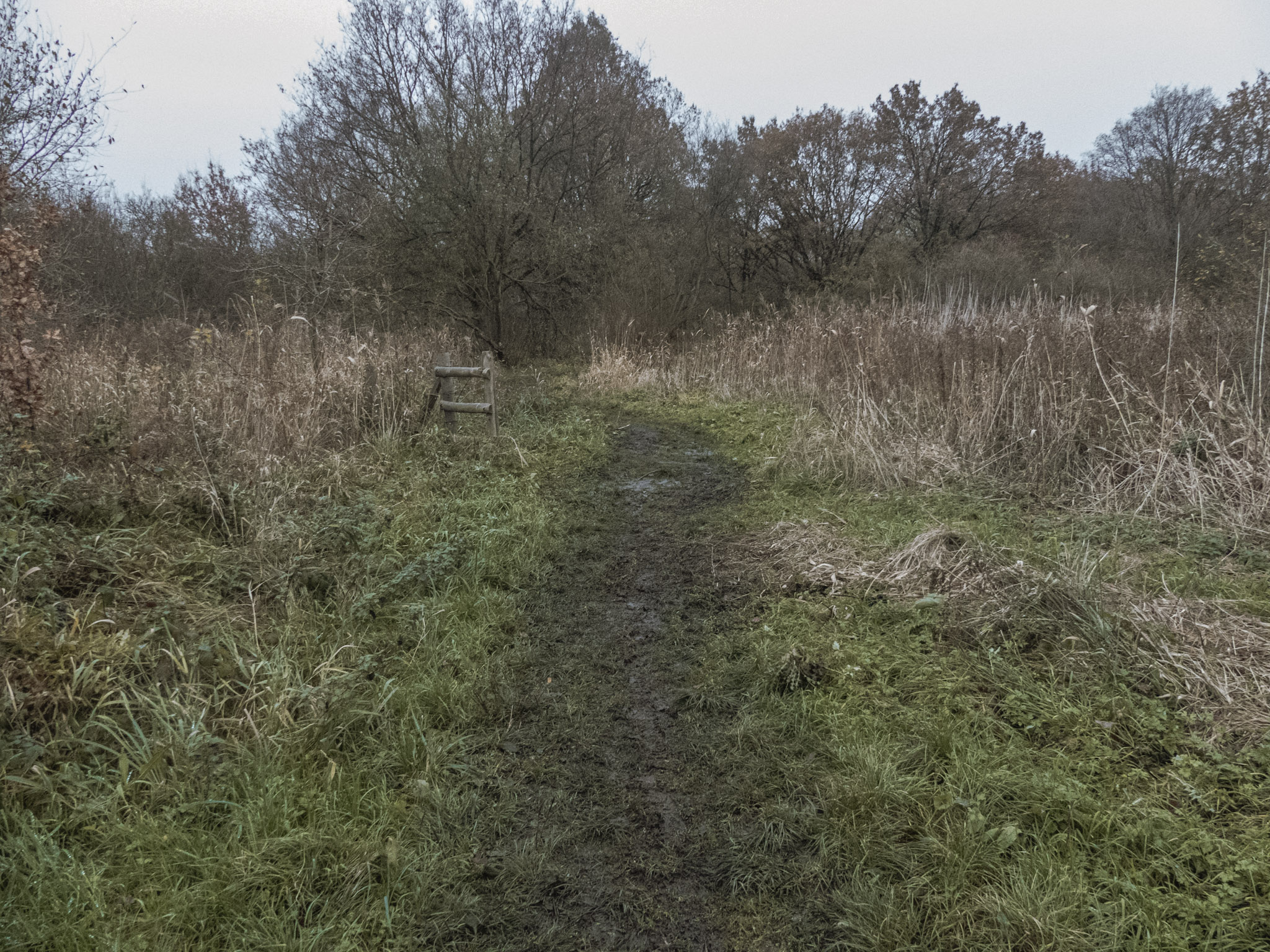Een modderige weg in de Oude Landen