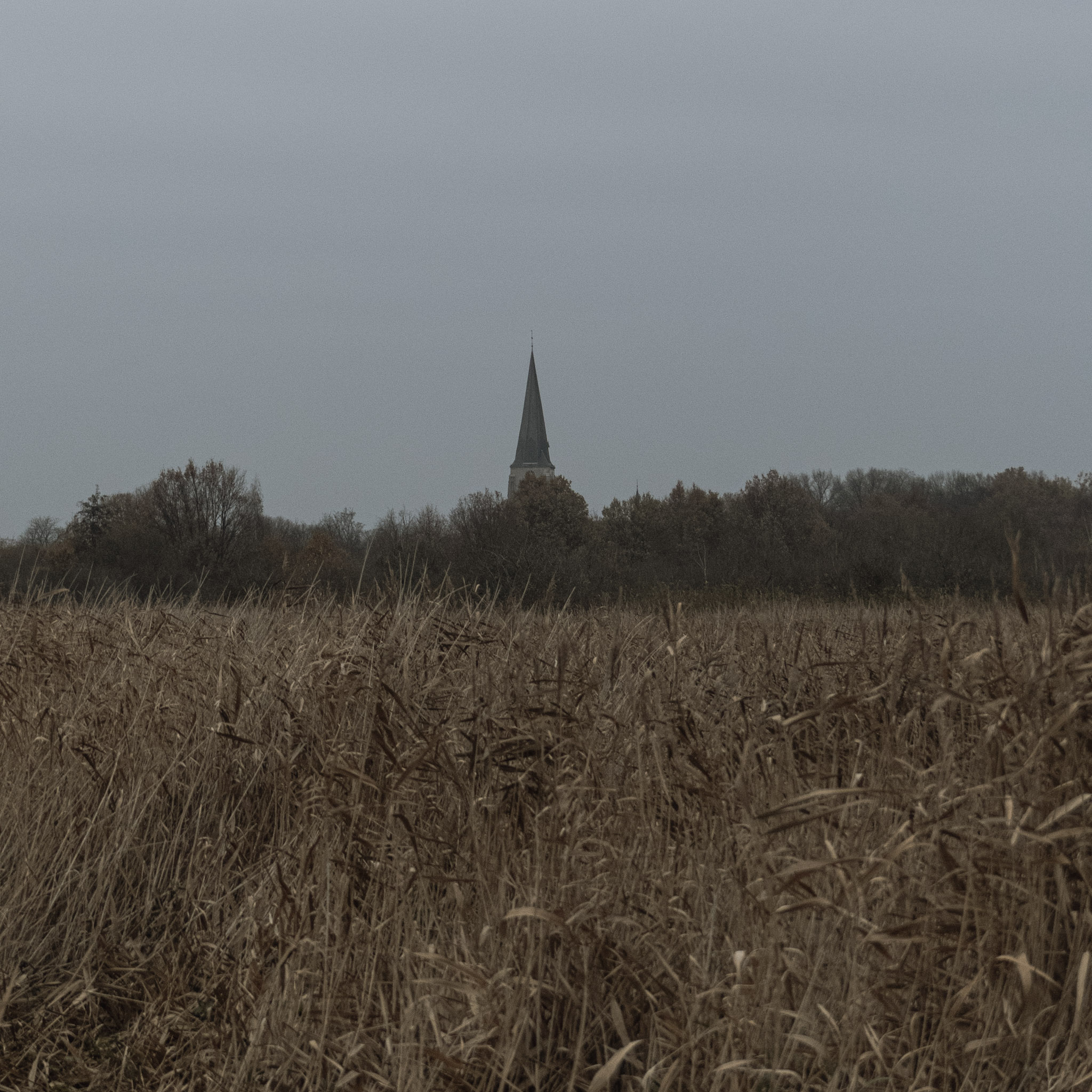 Dekerk van Ekeren gezien vanuit de Oude Landen