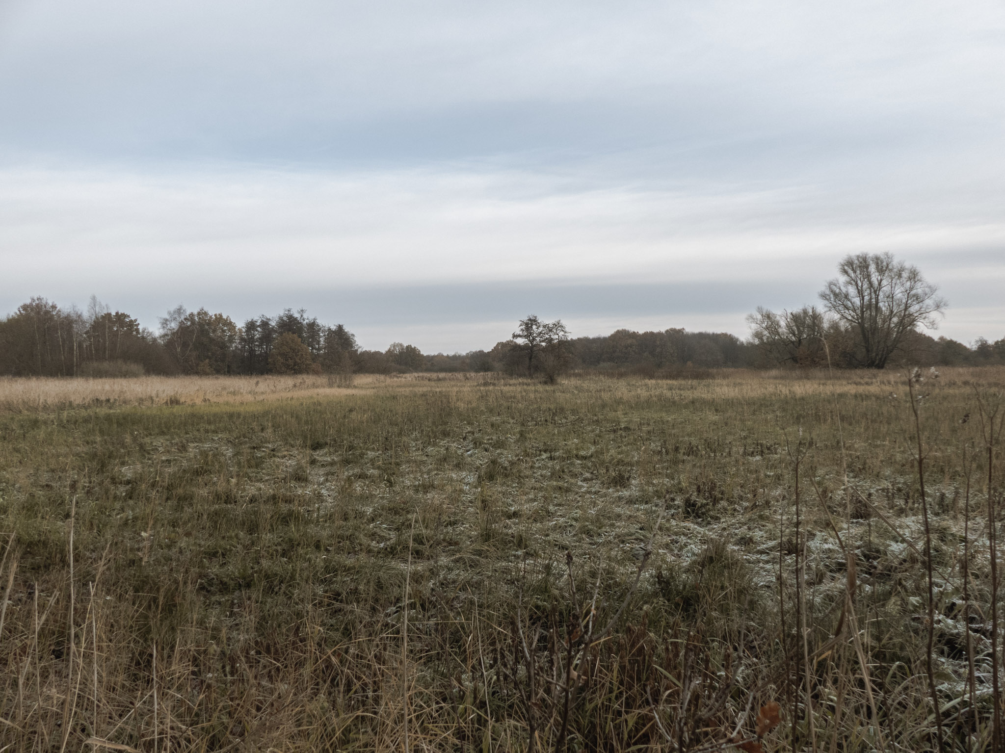 Een koud landschap