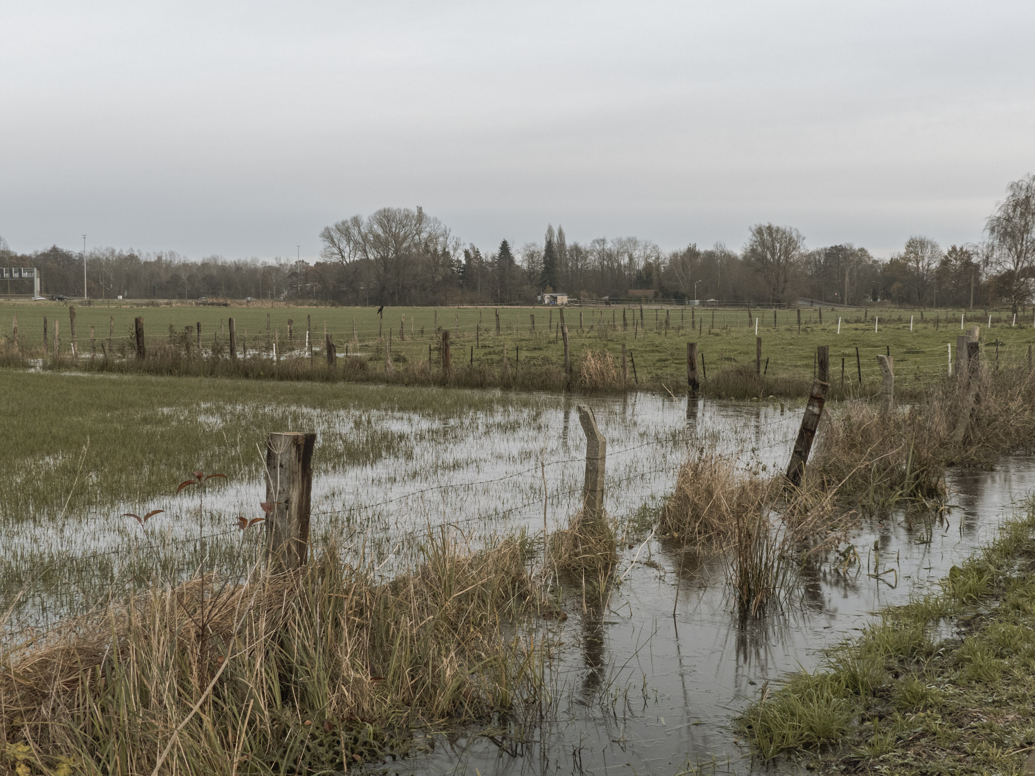 Ondergelopen weilanden
