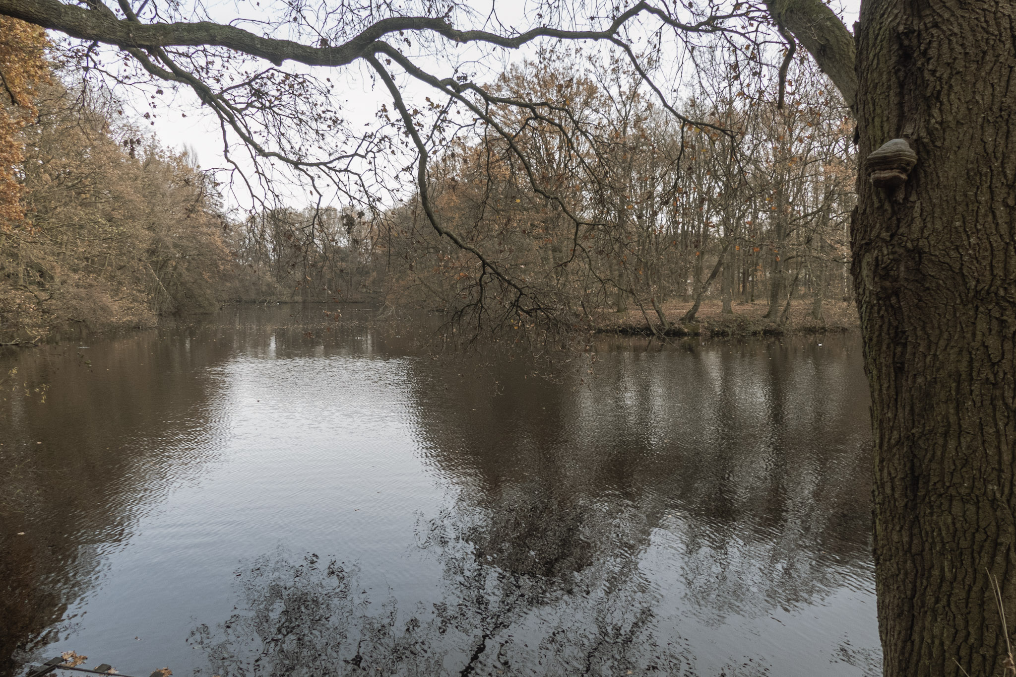 Water rond fort van Merksem
