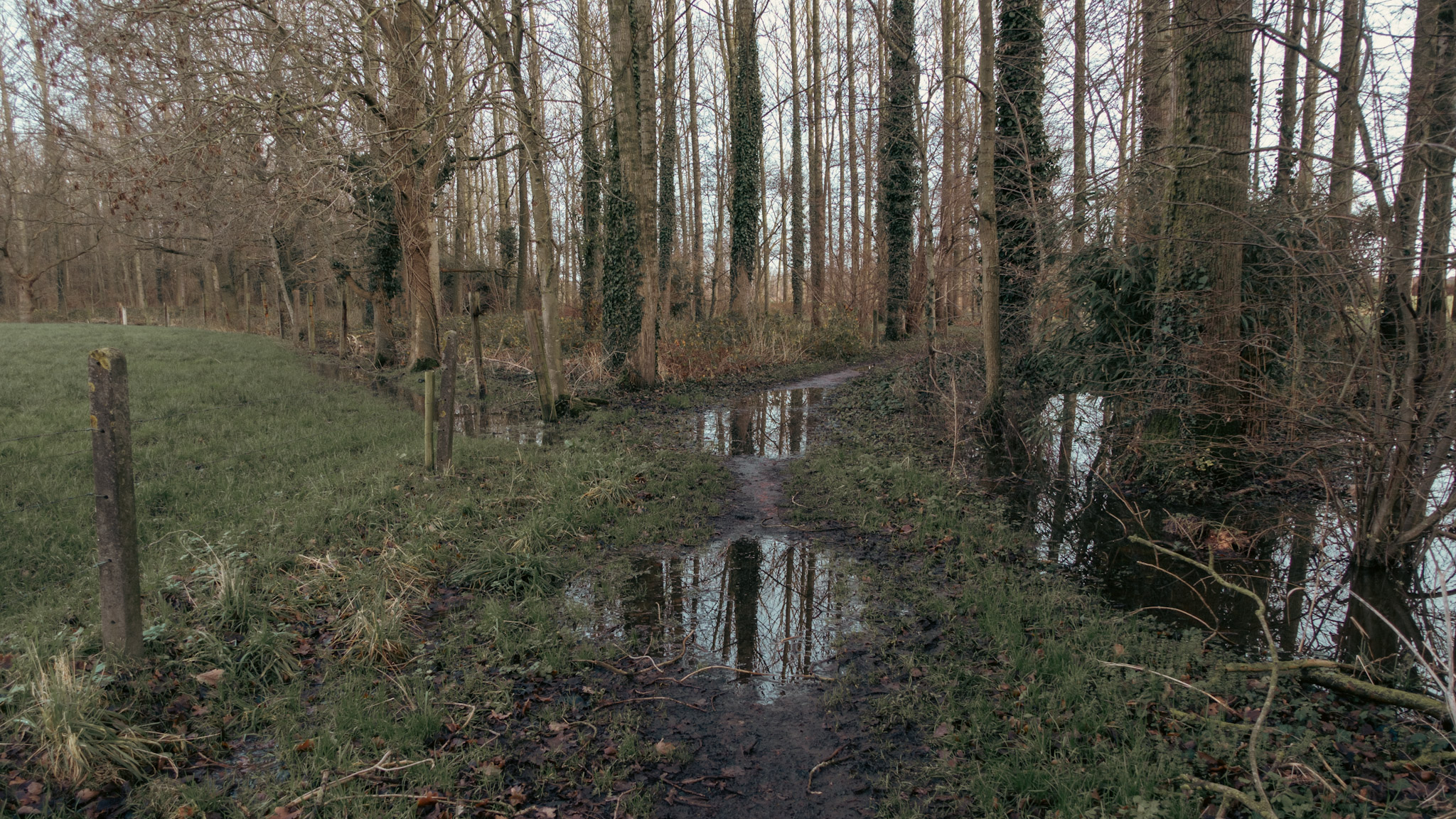 Het was er nat - een pad met veel water en modder.