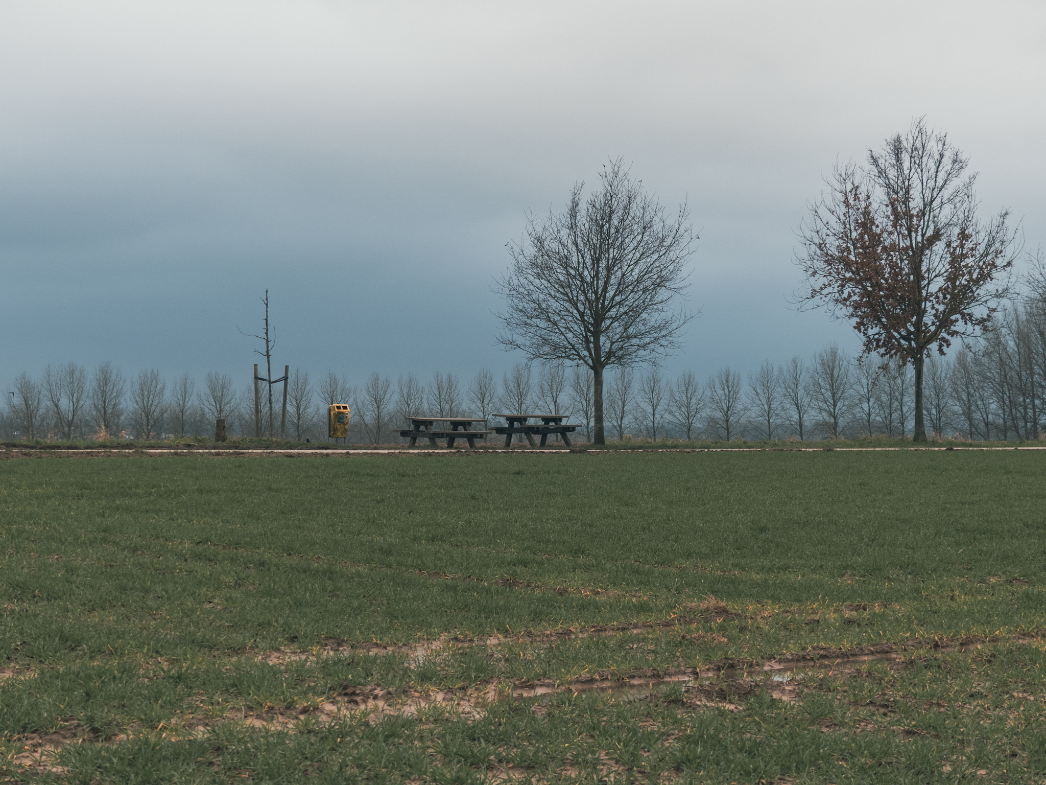Twee picknickbanden in het groen