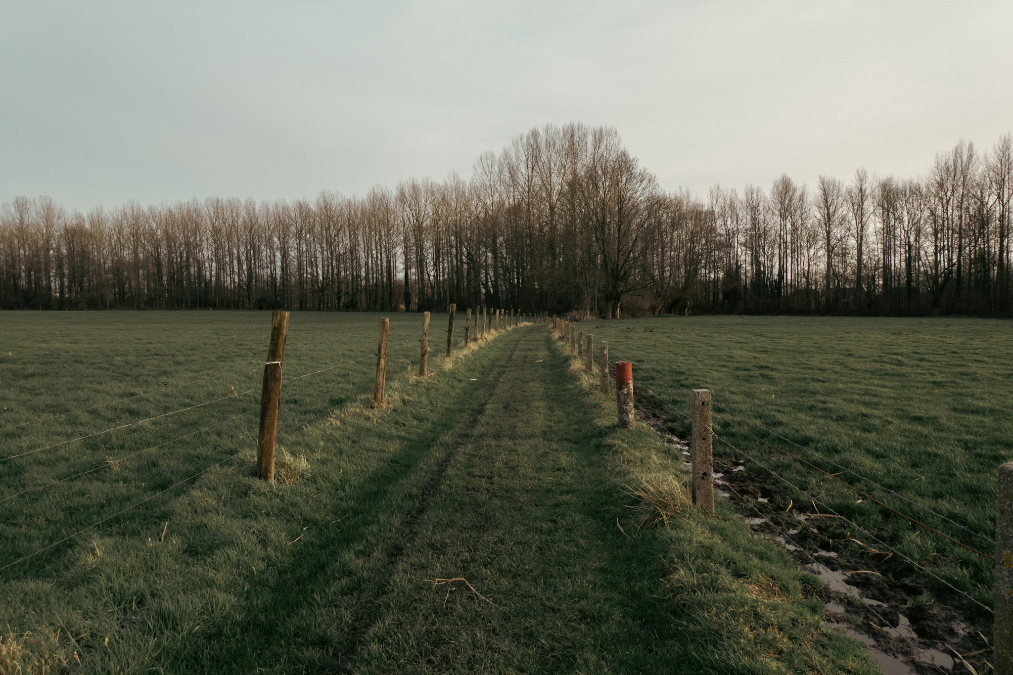Het enige mooie deeltje van de wandeling, een trage weg door weilanden