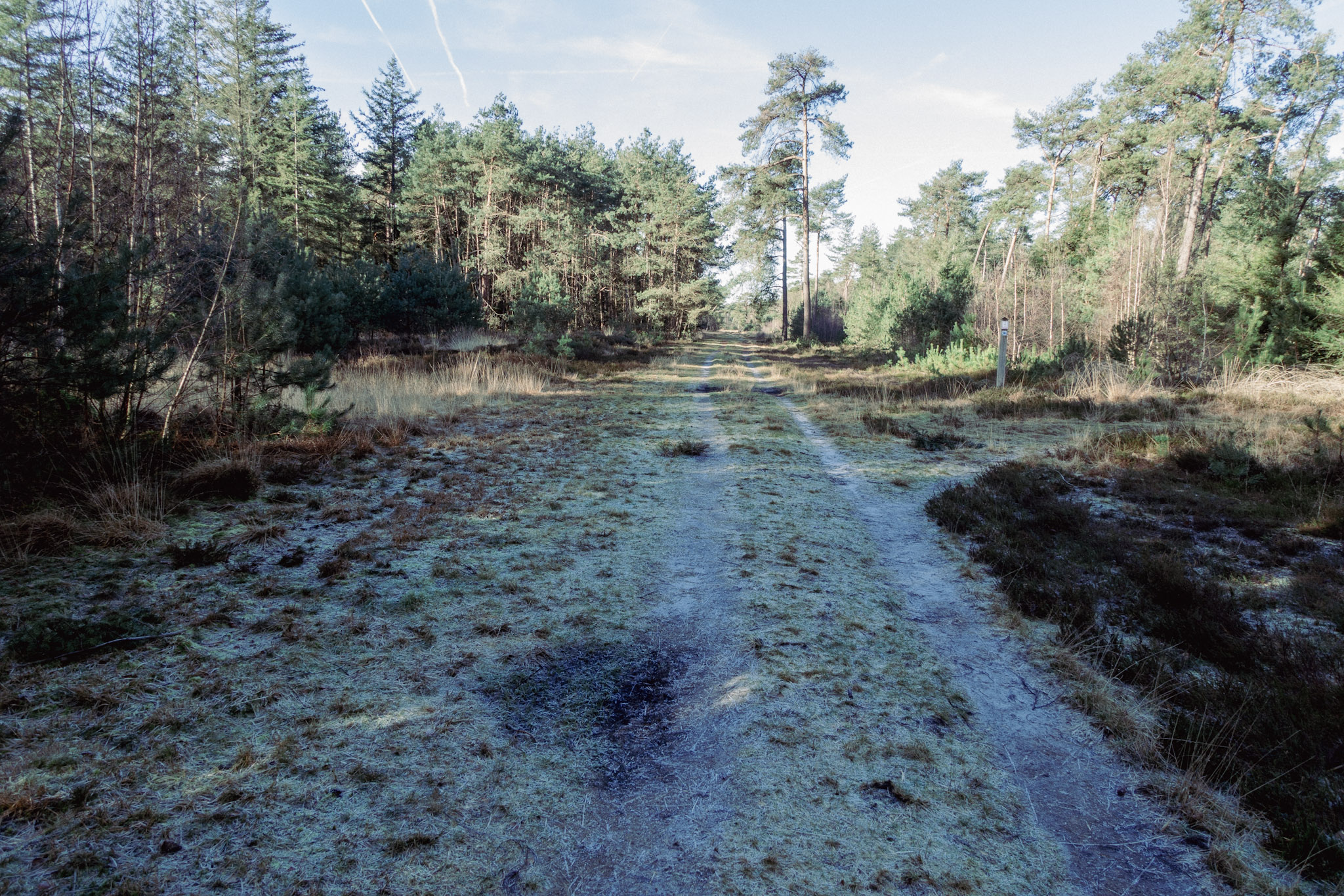 Een goed begaanbare weg in het bos
