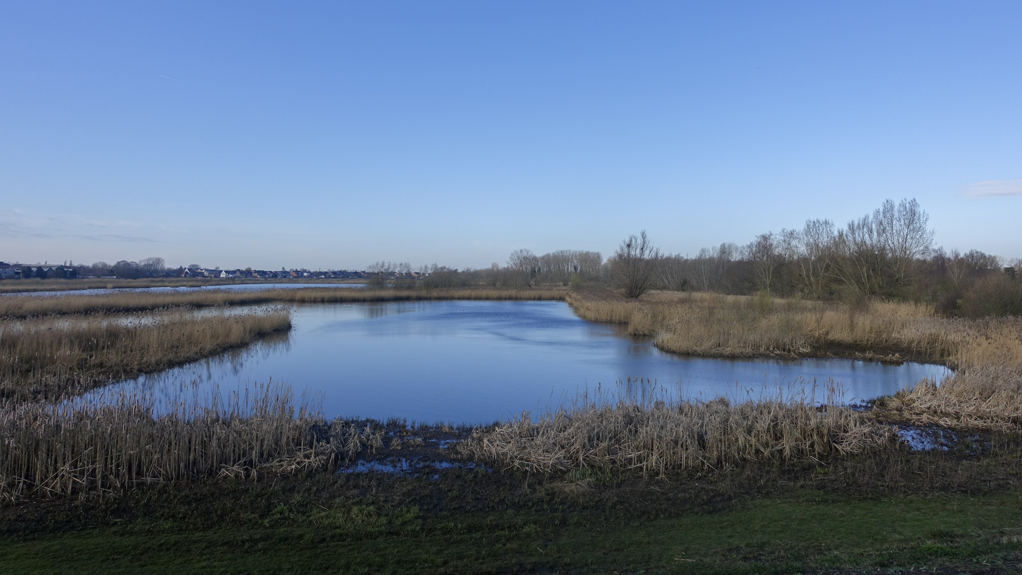 De paardenwei bij Schoonaarde, een grote plas water