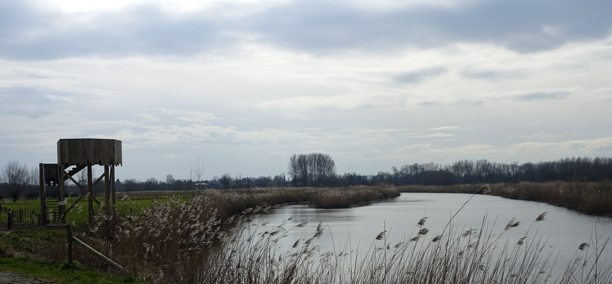 Vogelkijkhut aan de oude Scheldearm
