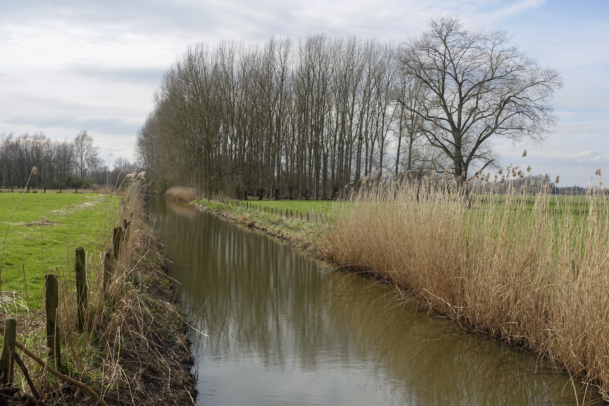 Beel door weilanden