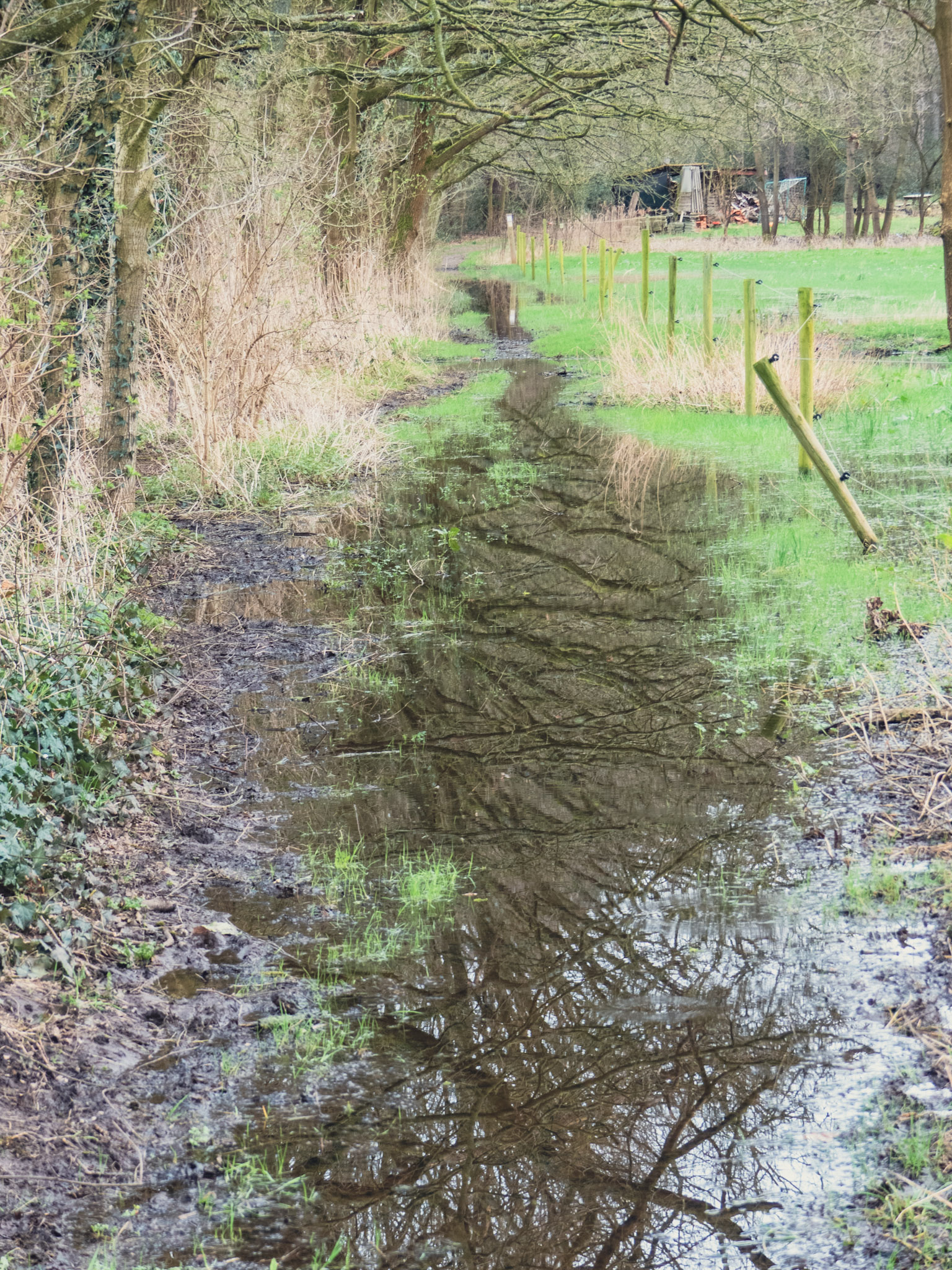 Totaal ondergelopen wandelpad