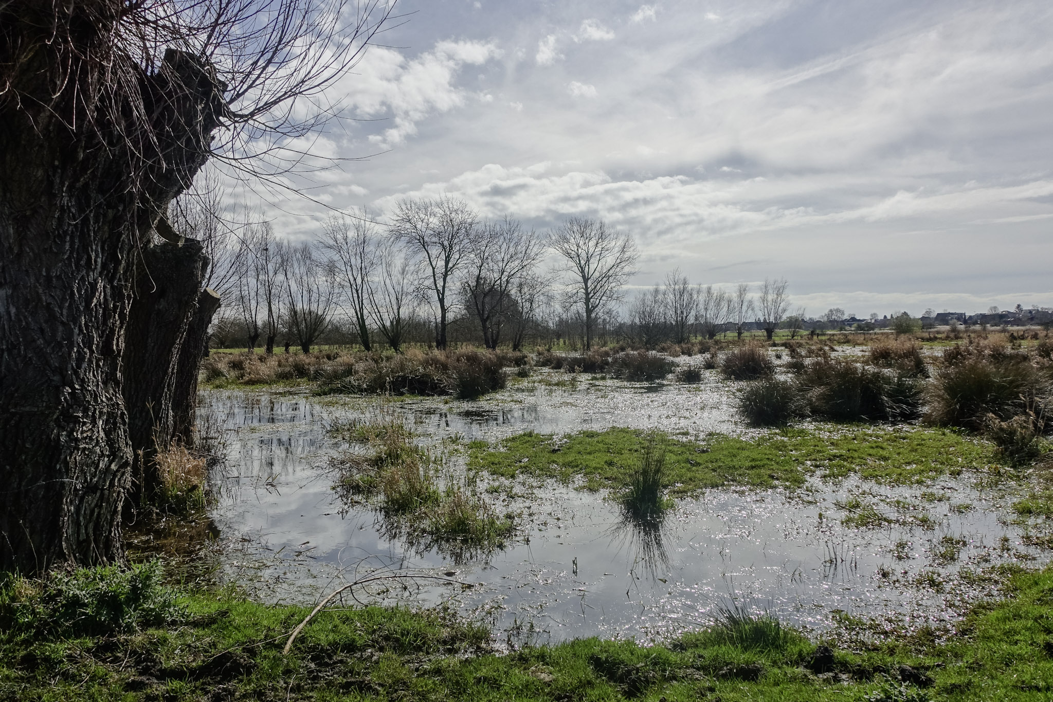 Ondergelopen weiland