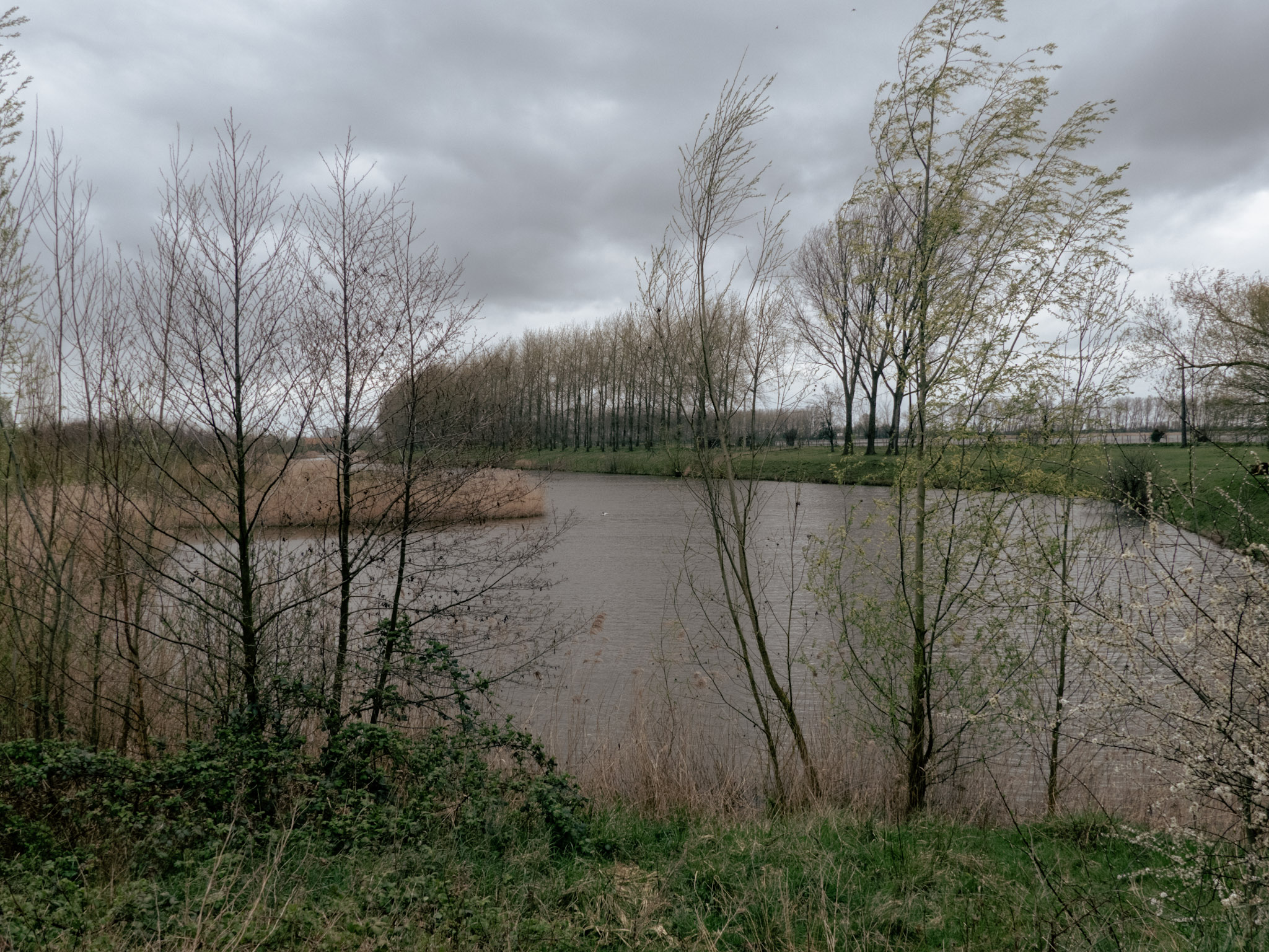 Polders en Water