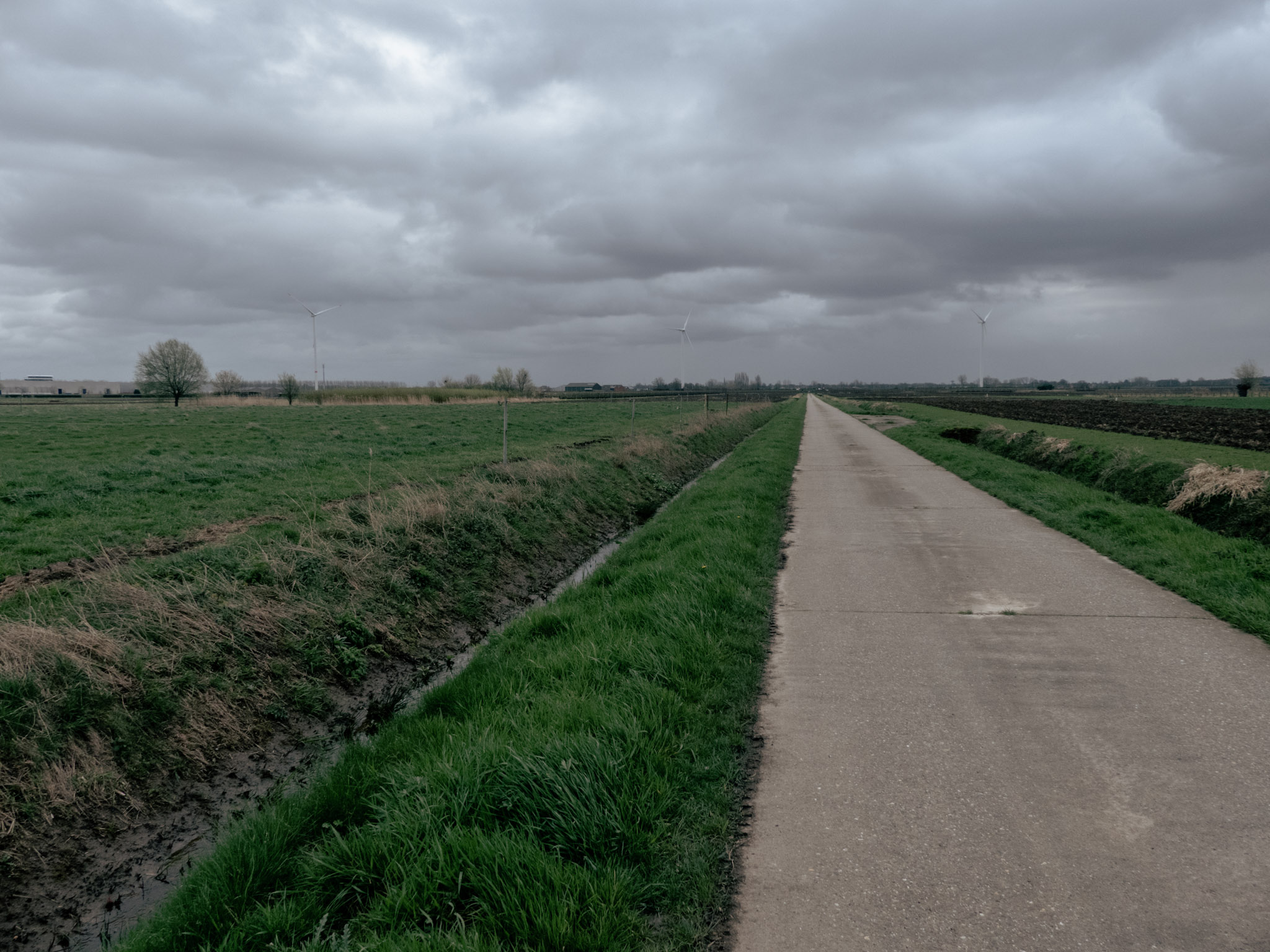 Een eindeloze weg door de polders