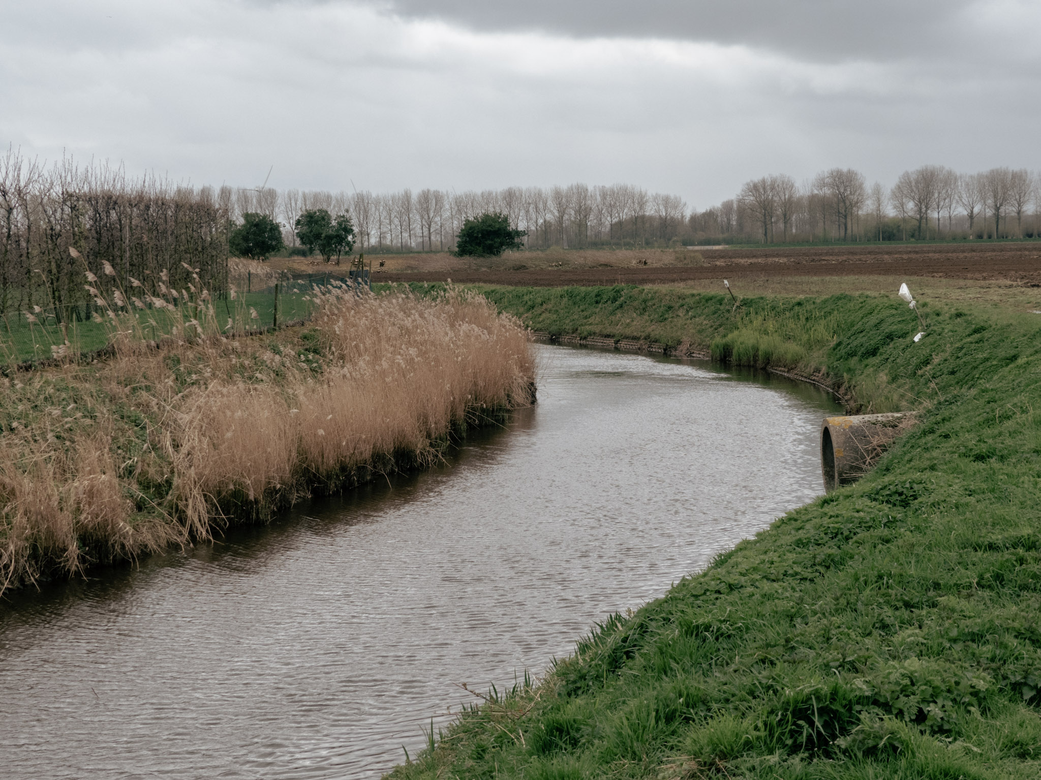 Beekje waar een vieze buis water in aan het lozen is