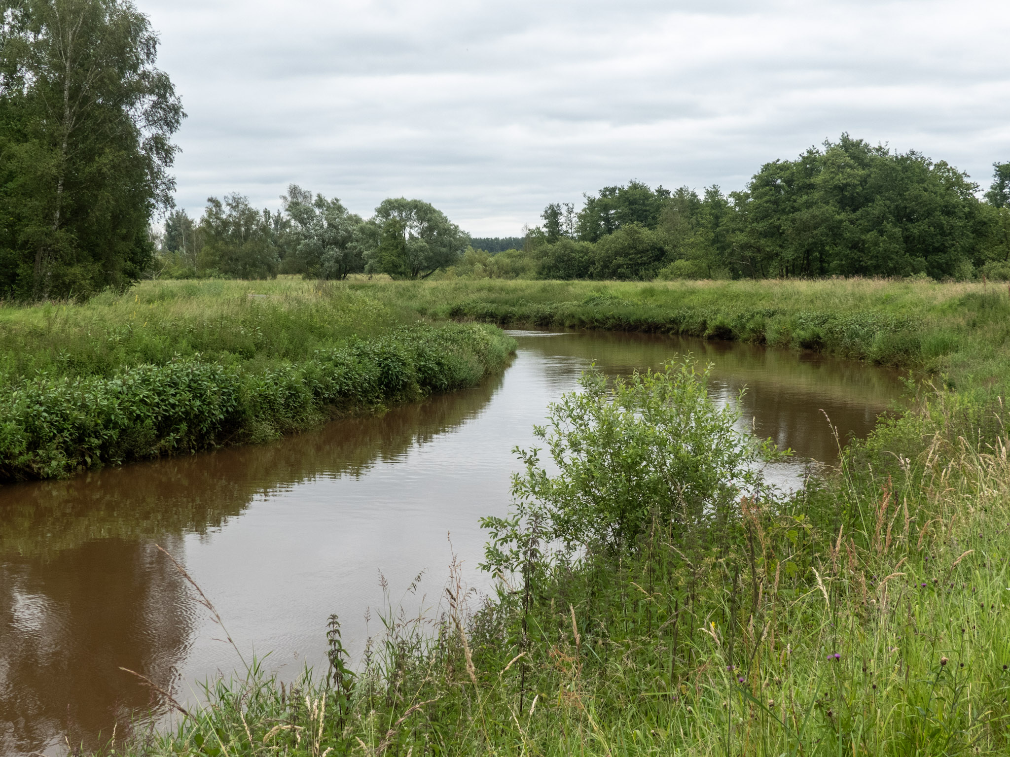 Een rivier in het groen