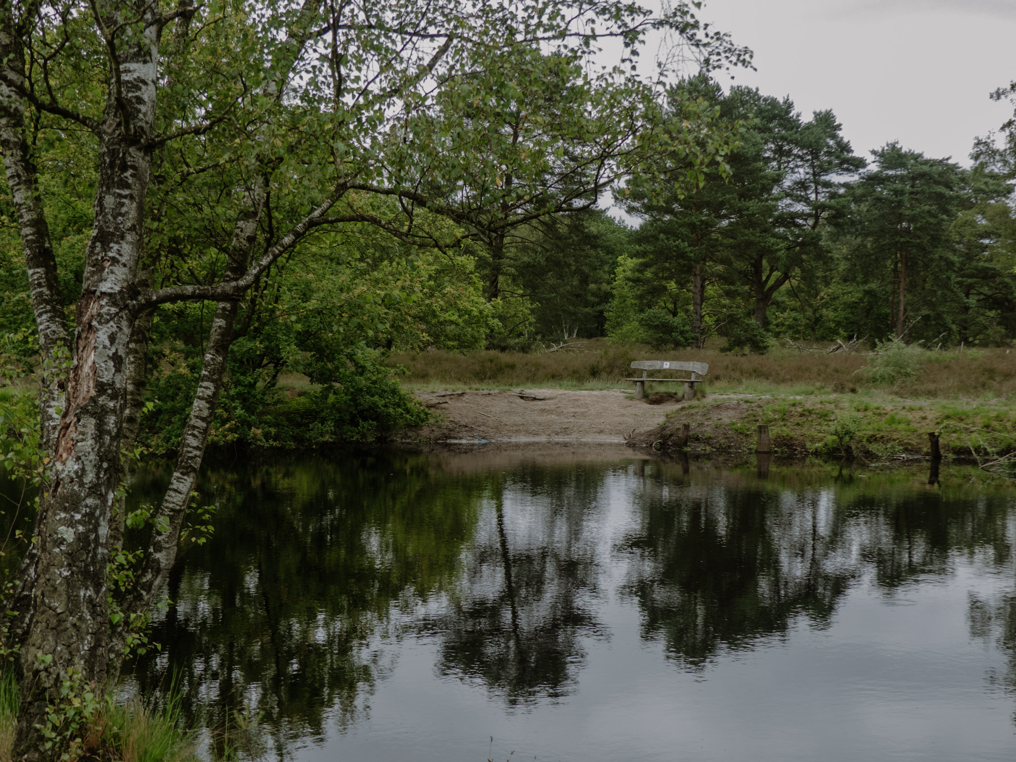 Een bankje aan een ven op de Kesselse Heide