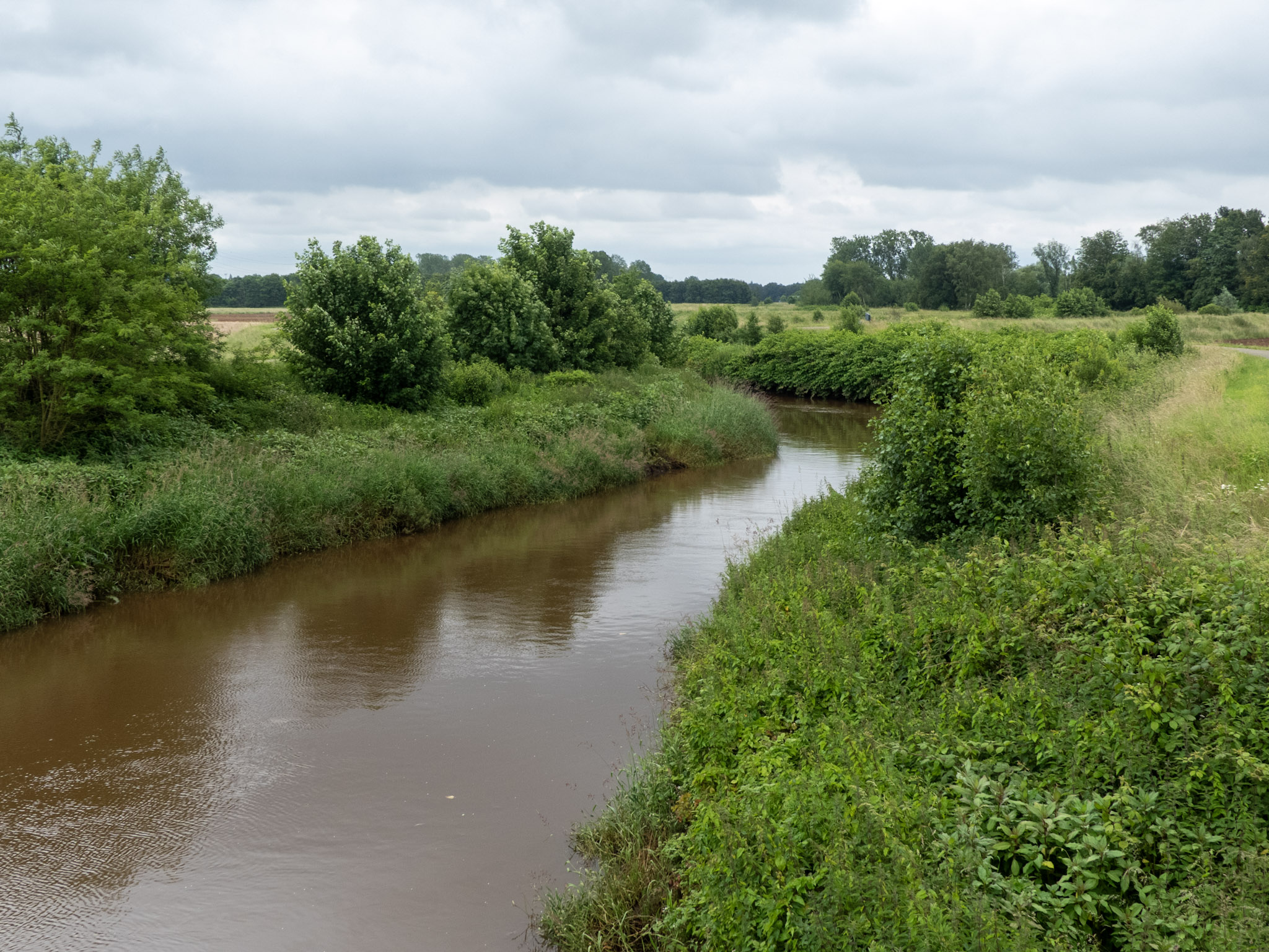 Meer water door het groen