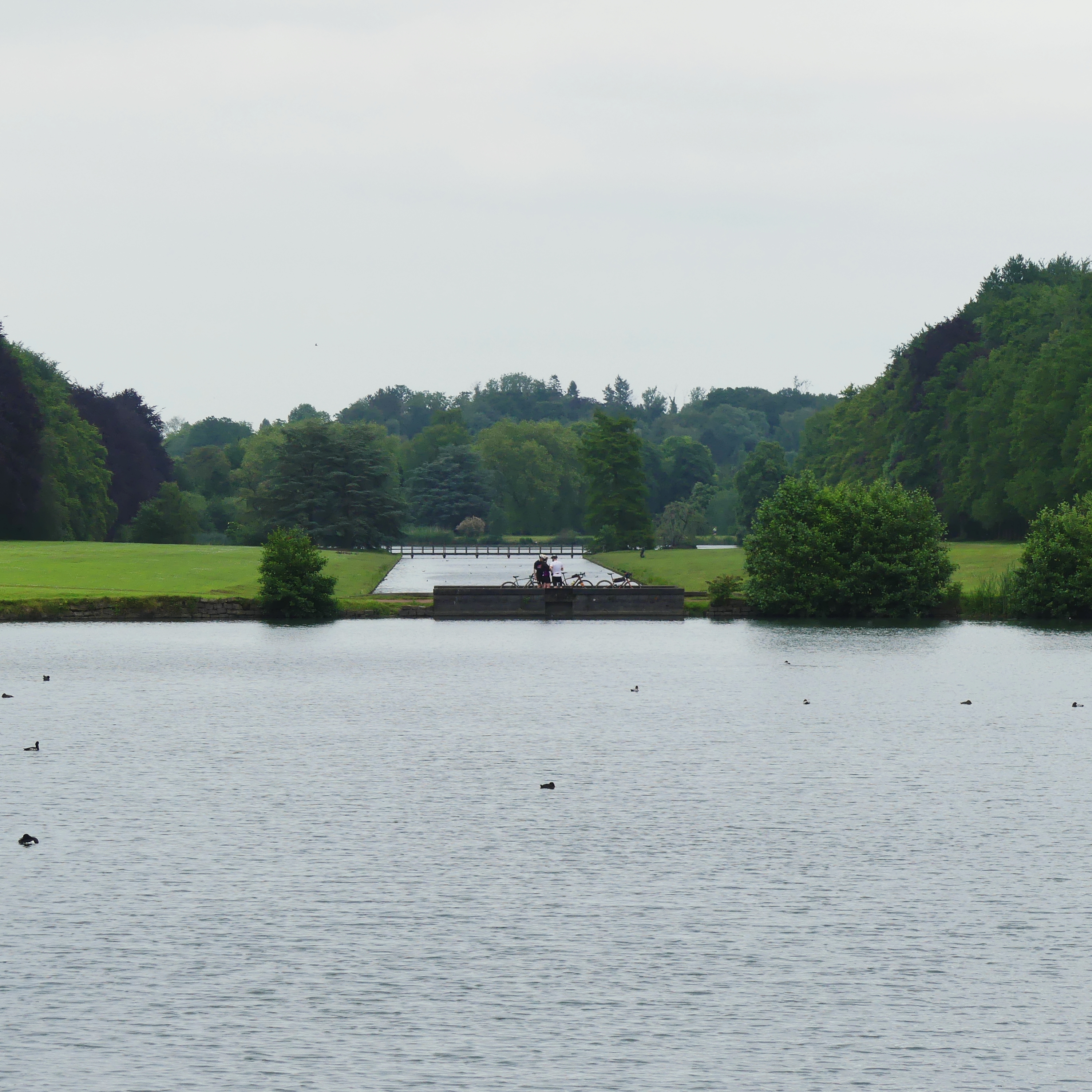 Water in het park van tervuren
