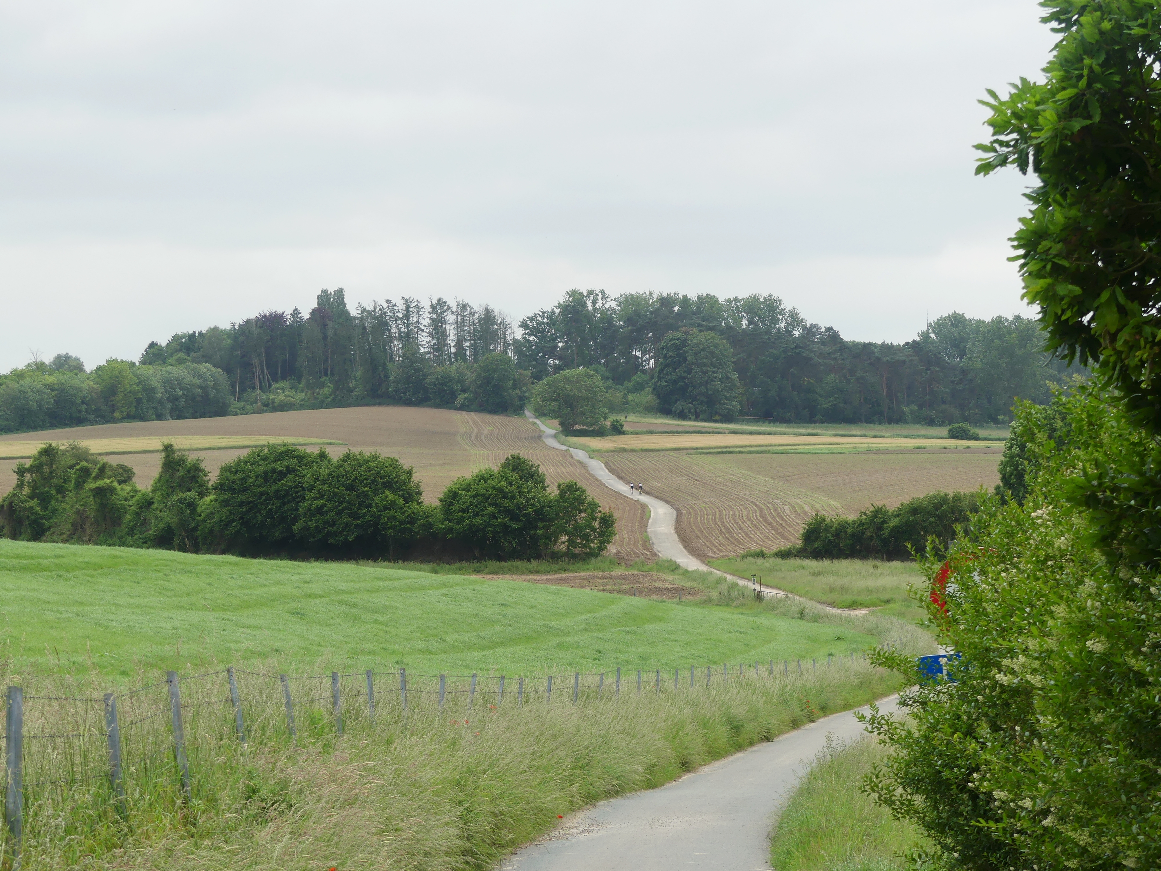 Een weg net buiten tervuren in het groen