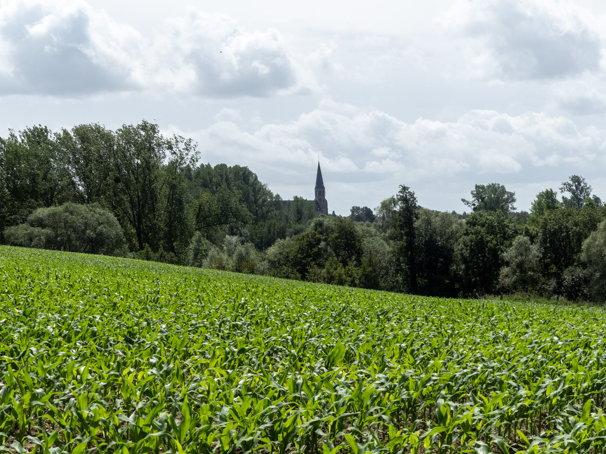 Zicht op een kerk achter de velden
