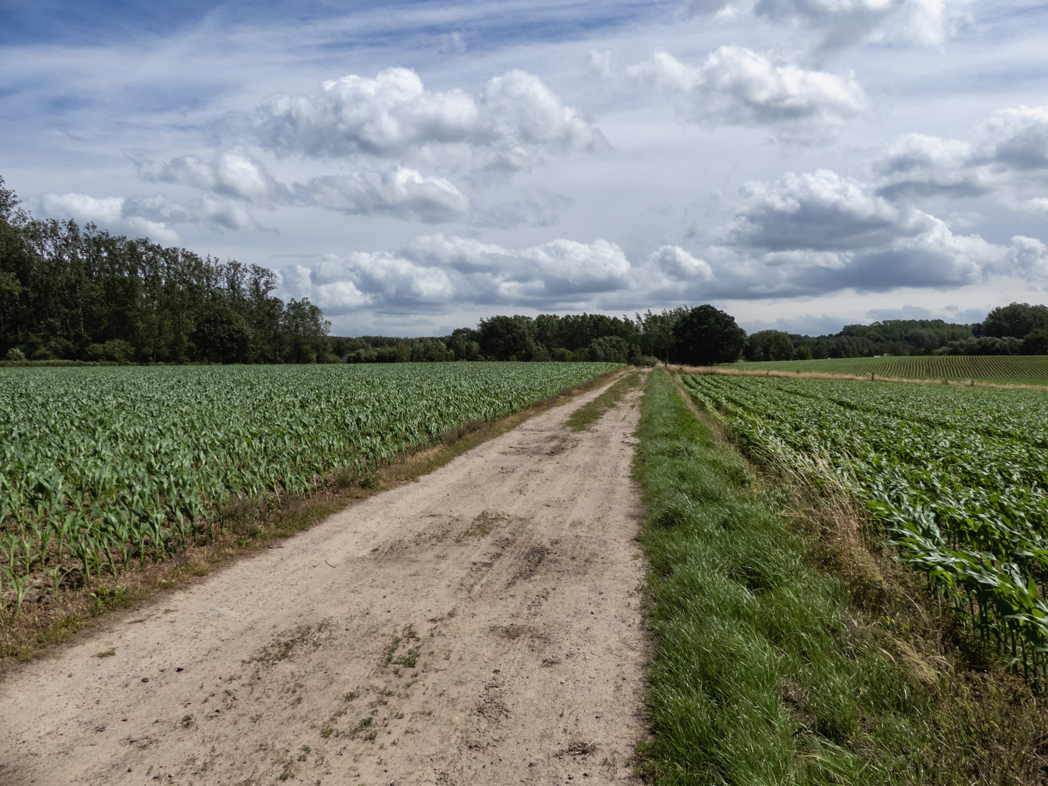Zandweg door de velden