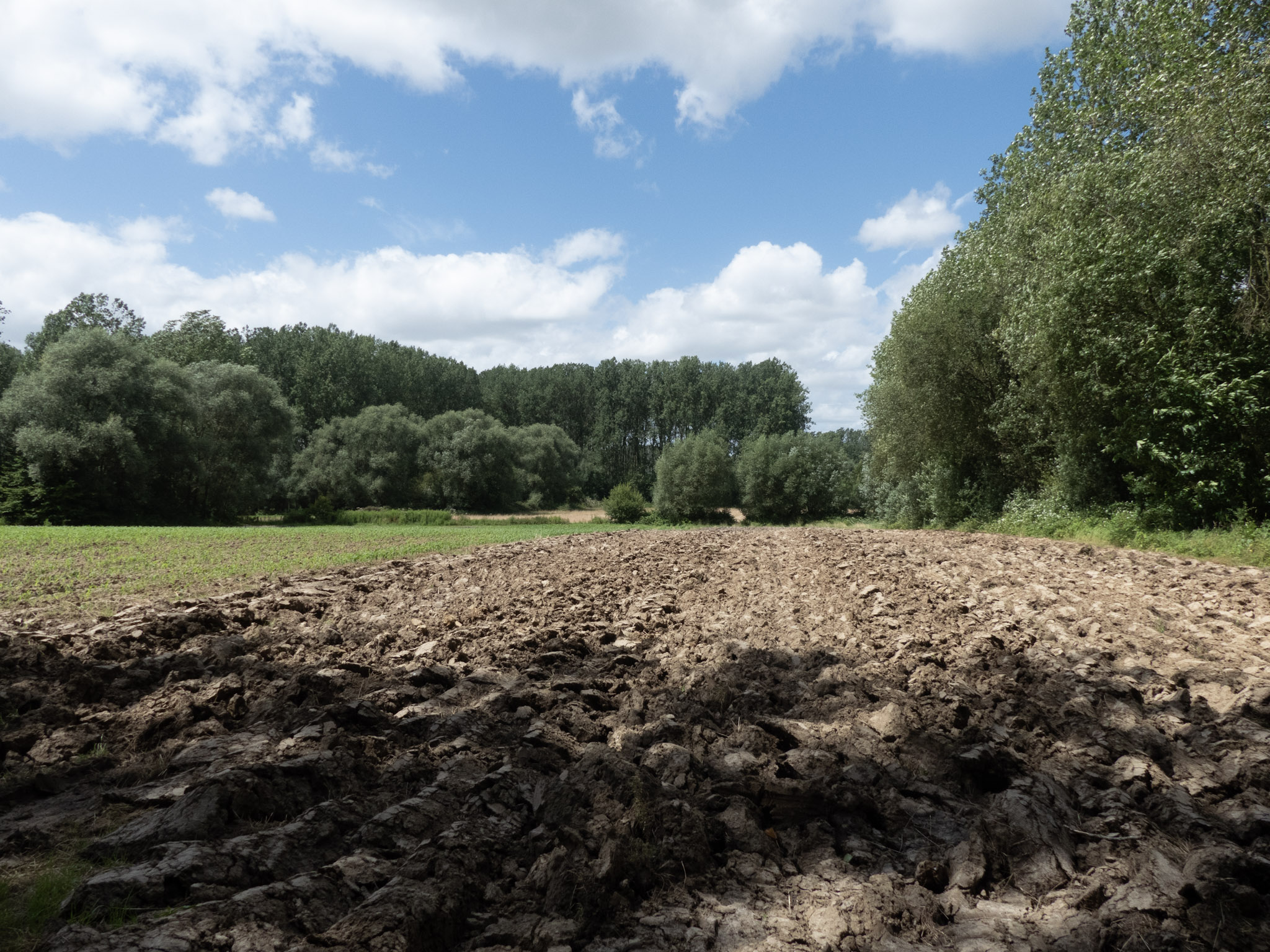 Velden, deels braak met lucht en bomen