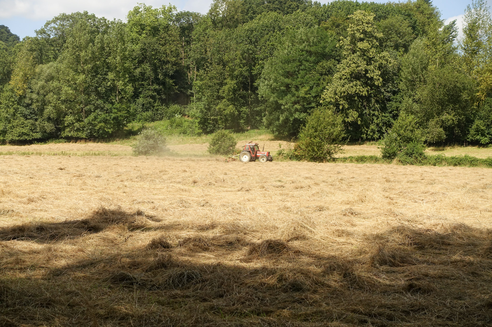 Tractor die een veld aan het maaien is