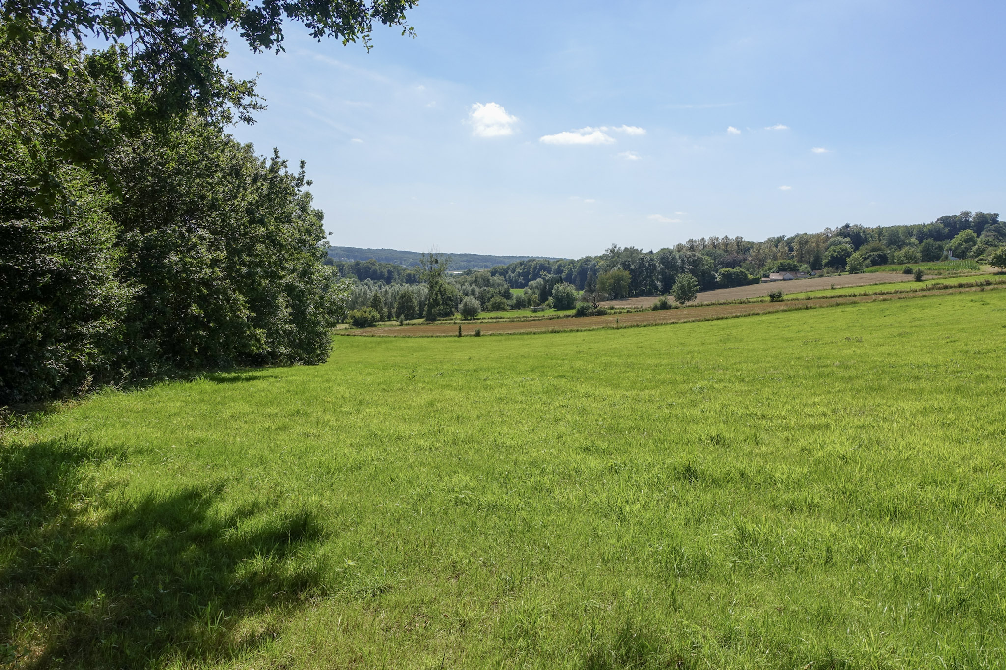 Uitzicht over een groene vallei